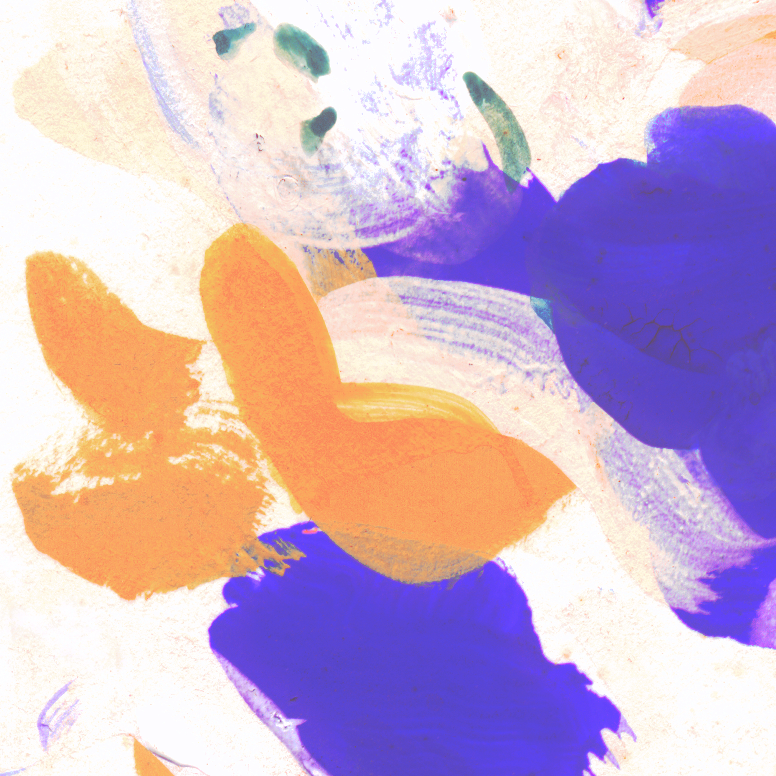 Shoal detail 2 3000.png