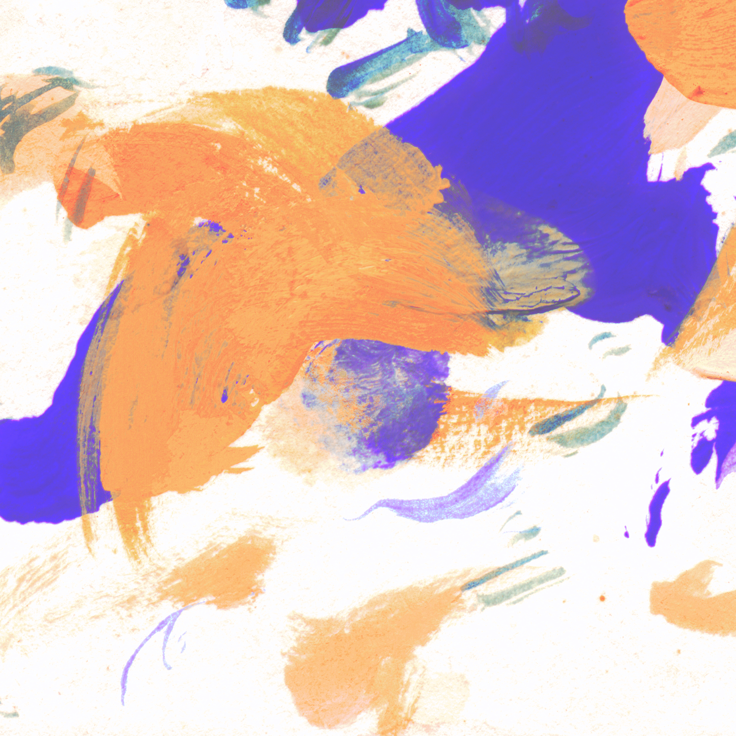 Shoal detail 1 3000.png