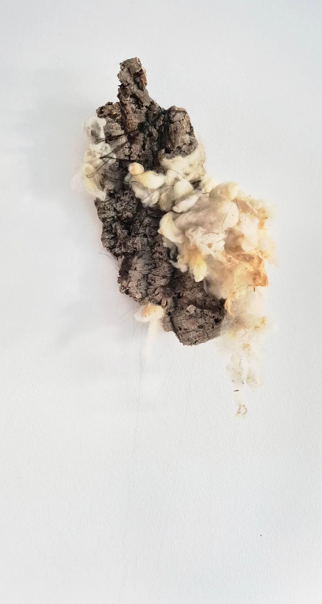 Jessica Guerreiro (Beja, 1997). "em autoconsumo", 2026. Cortiça, lã, cabelo — 100 x 30 x 12 cm.