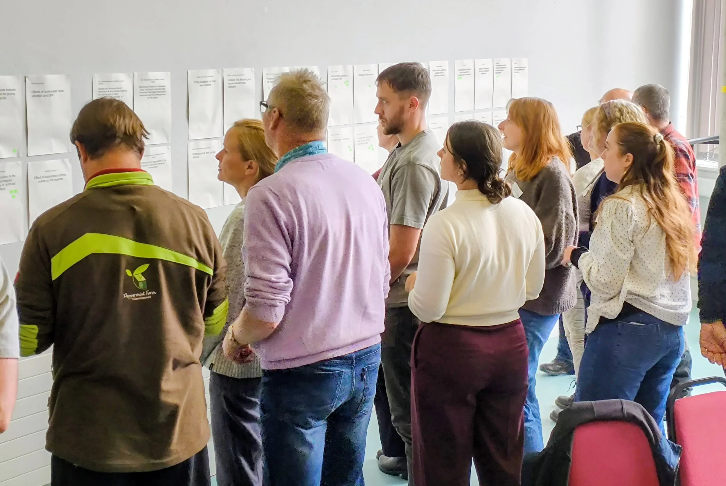 Report: Workshop on Prioritising research for Offshore Renewable Energy and Biodiversity at Sea in Ireland