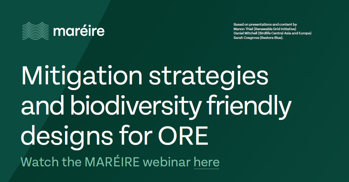 Infographic: Mitigation strategies and biodiversity friendly designs for ORE