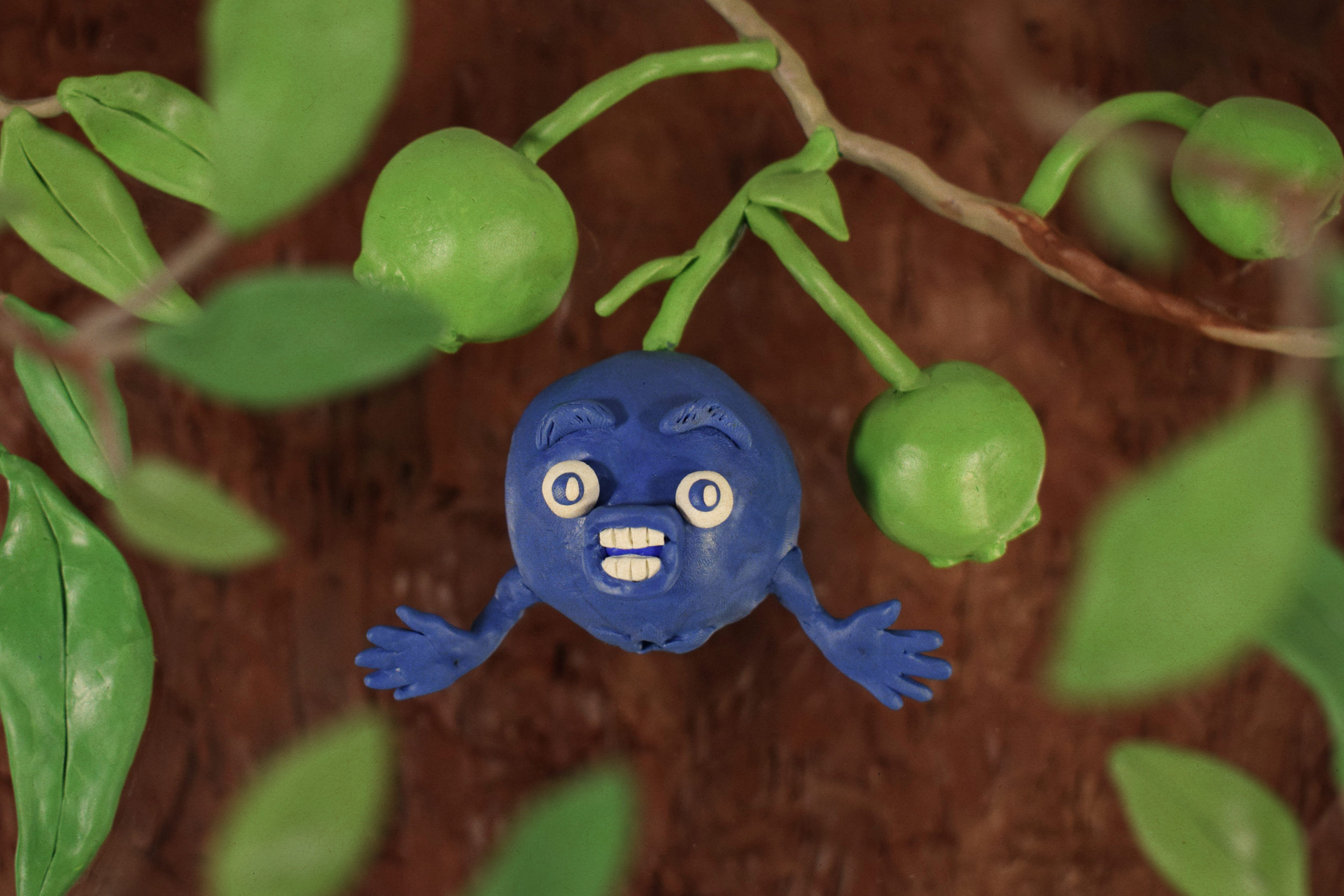 Blueberry Still.png