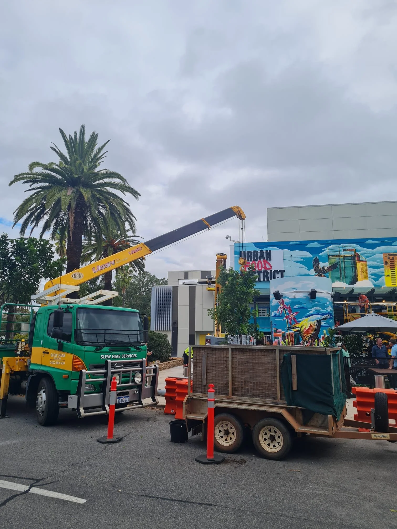 Feature tree commercial landscaping project installation at the Urban Food District Burswood WA Slew Hiab