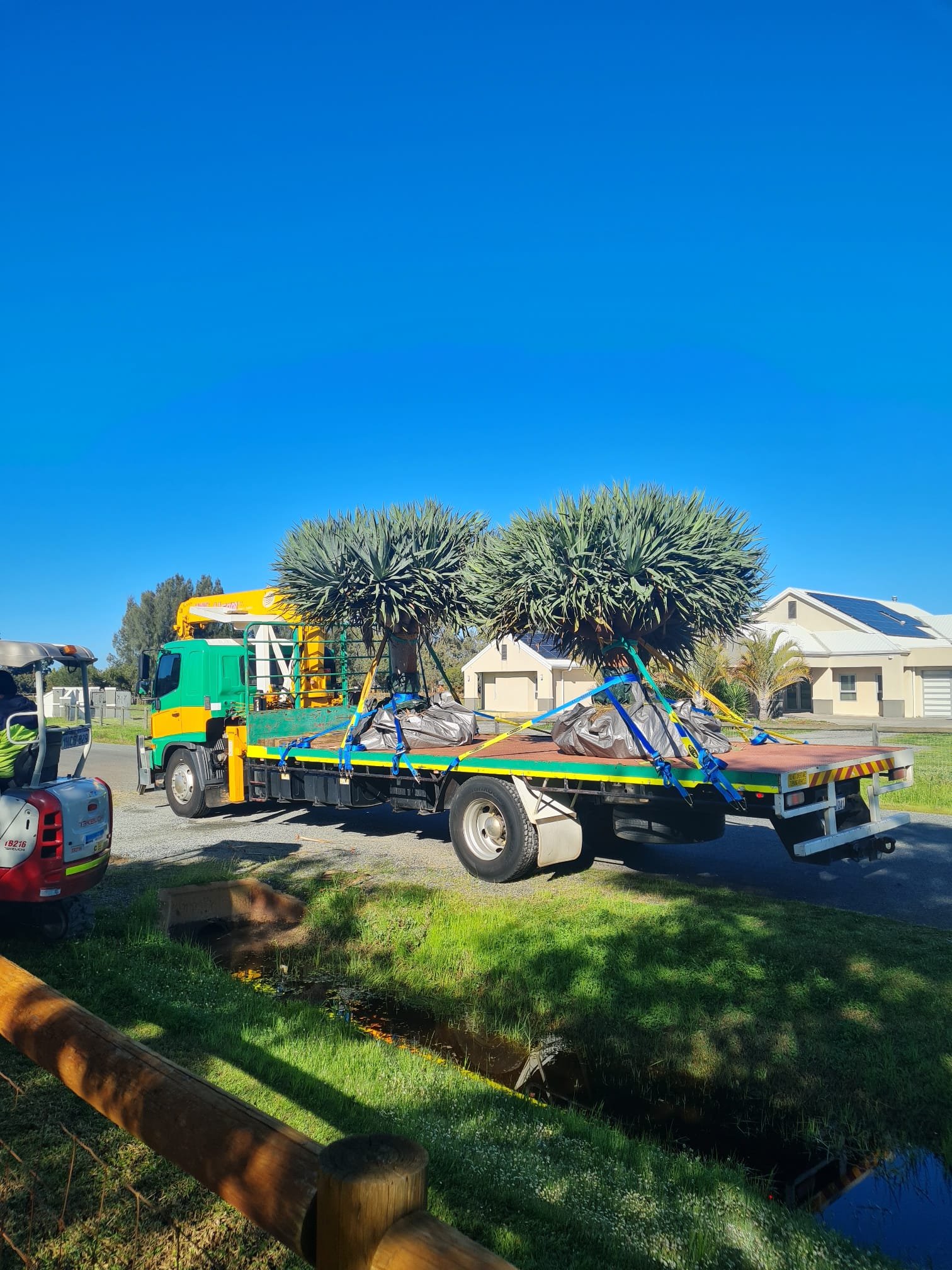 Slew Hiab Serices Perth, tree removal, tree transport
Green and Gold Hiab Hire
Wet Hiab Truck Hire