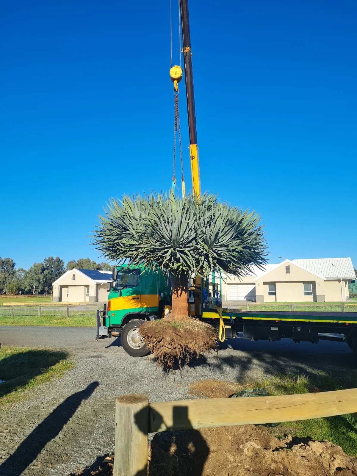 Slew Hiab Services perth tree removal, perth tree relocation, perth tree delivery
Green and Gold Hiab Hire
Wet Hiab Truck Hire