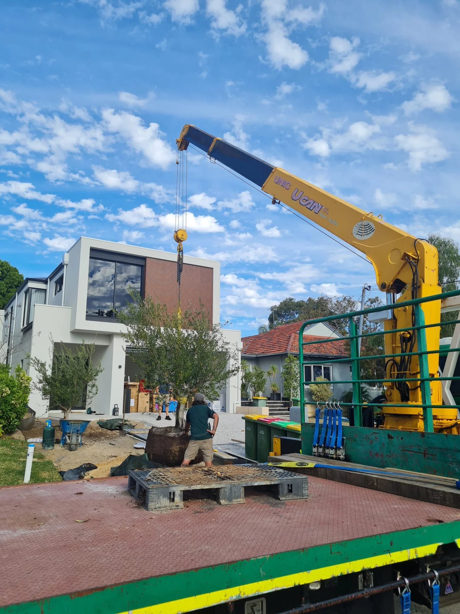 Slew Hiab mature tree transport and positioning for landscaping at new perth build