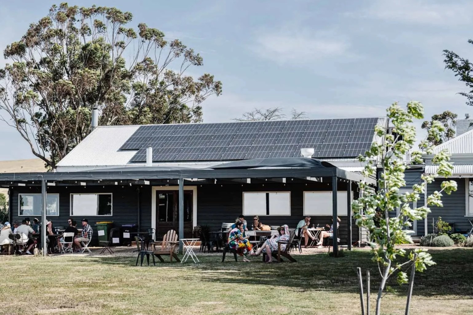 Solar panels on a winery rooftop
