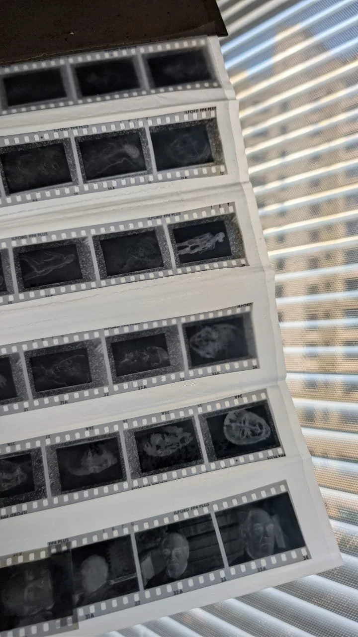 A sheet of black and white film negatives featuring various images, including animal and human faces, laid out on a surface near a window with blinds.