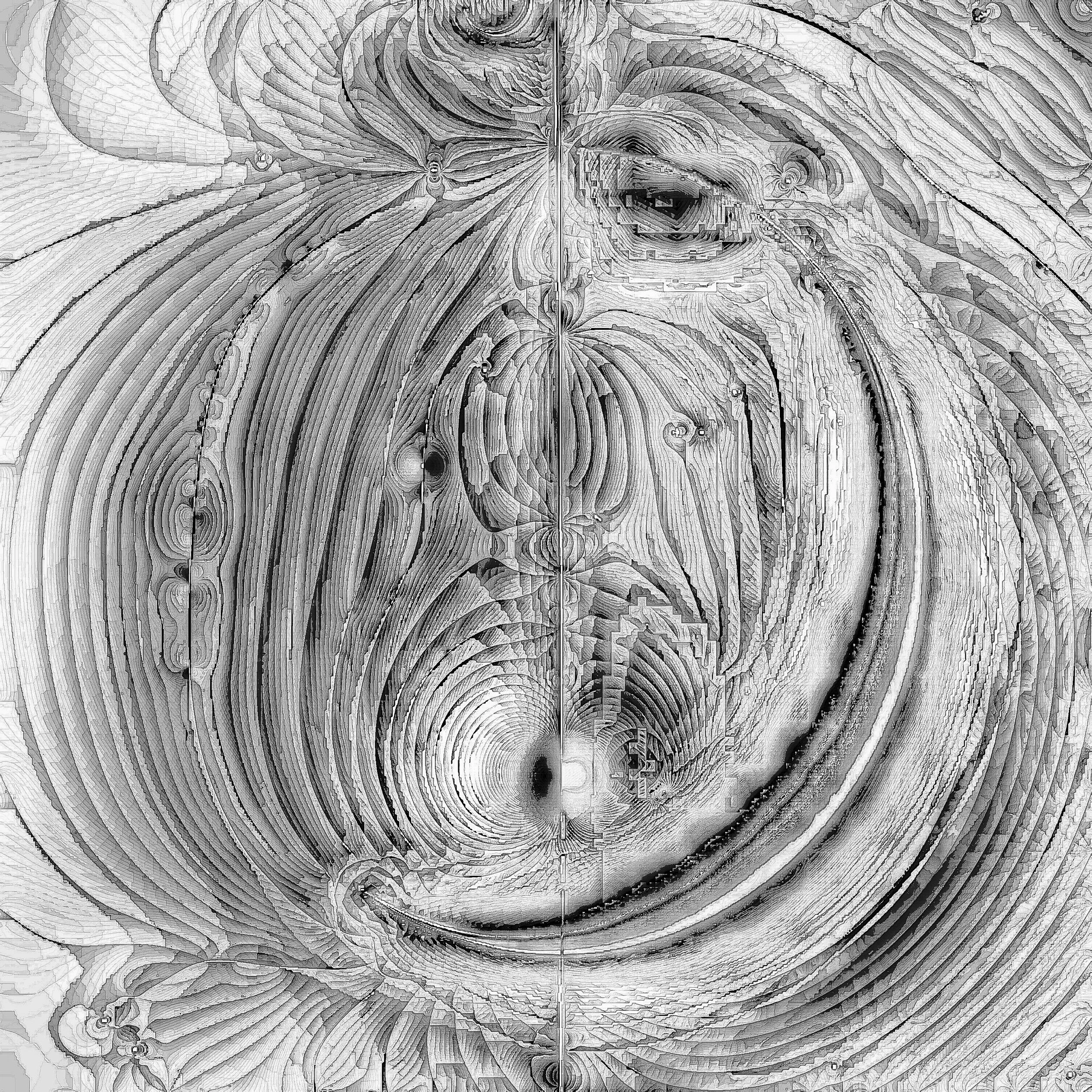 Abstract black and white digital artwork with swirling, layered patterns resembling a distorted portrait of a woman with prominent facial features. Generative Art