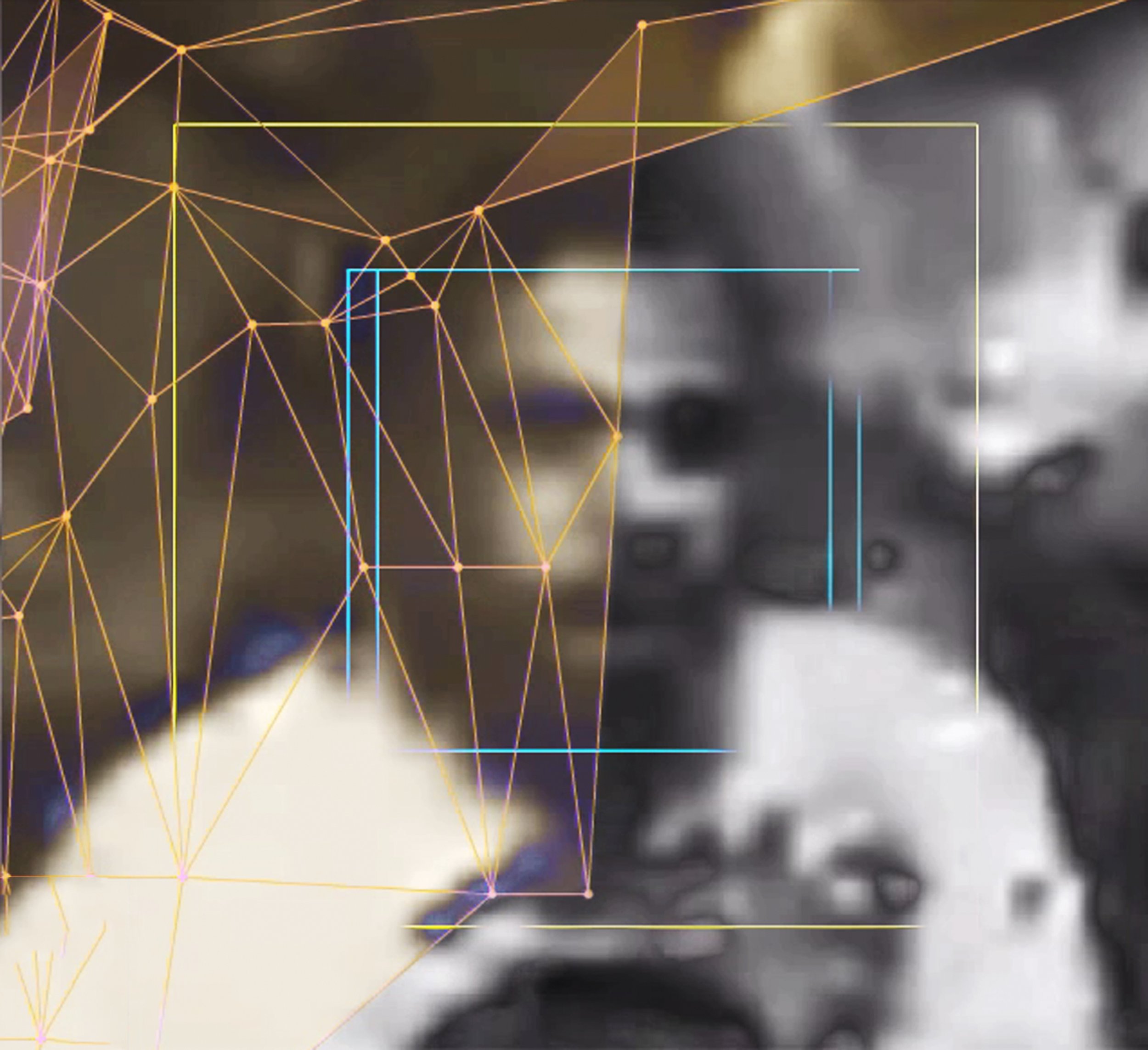 A blurry photo of dogs with digital overlay of colorful geometric lines and shapes. Digital Art. Generative Art. Face detection
