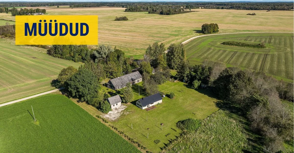 Talukoht looduse keskel Tõrenurme külas, Põltsamaa vallas