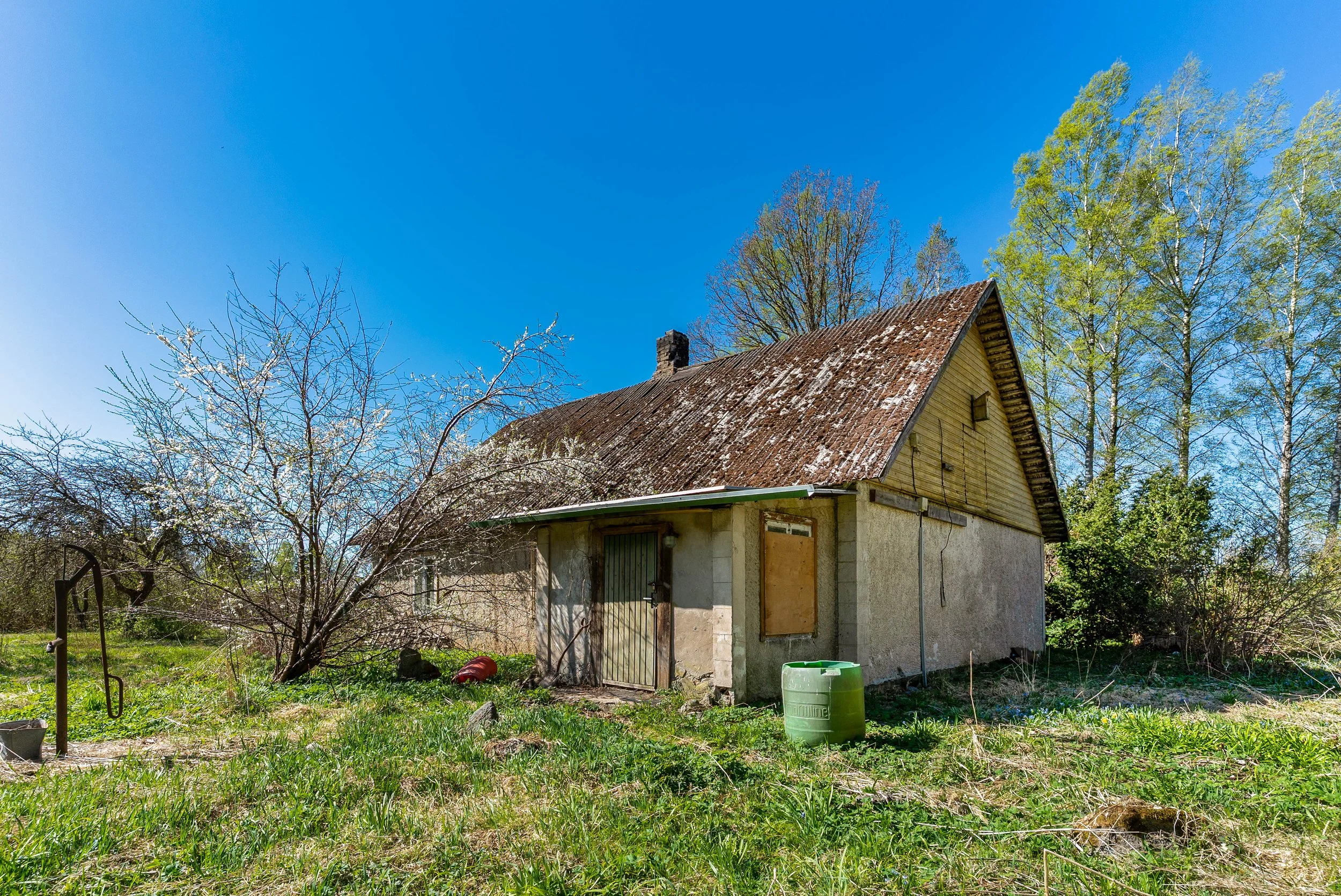 _DSC1447-Edit.jpg