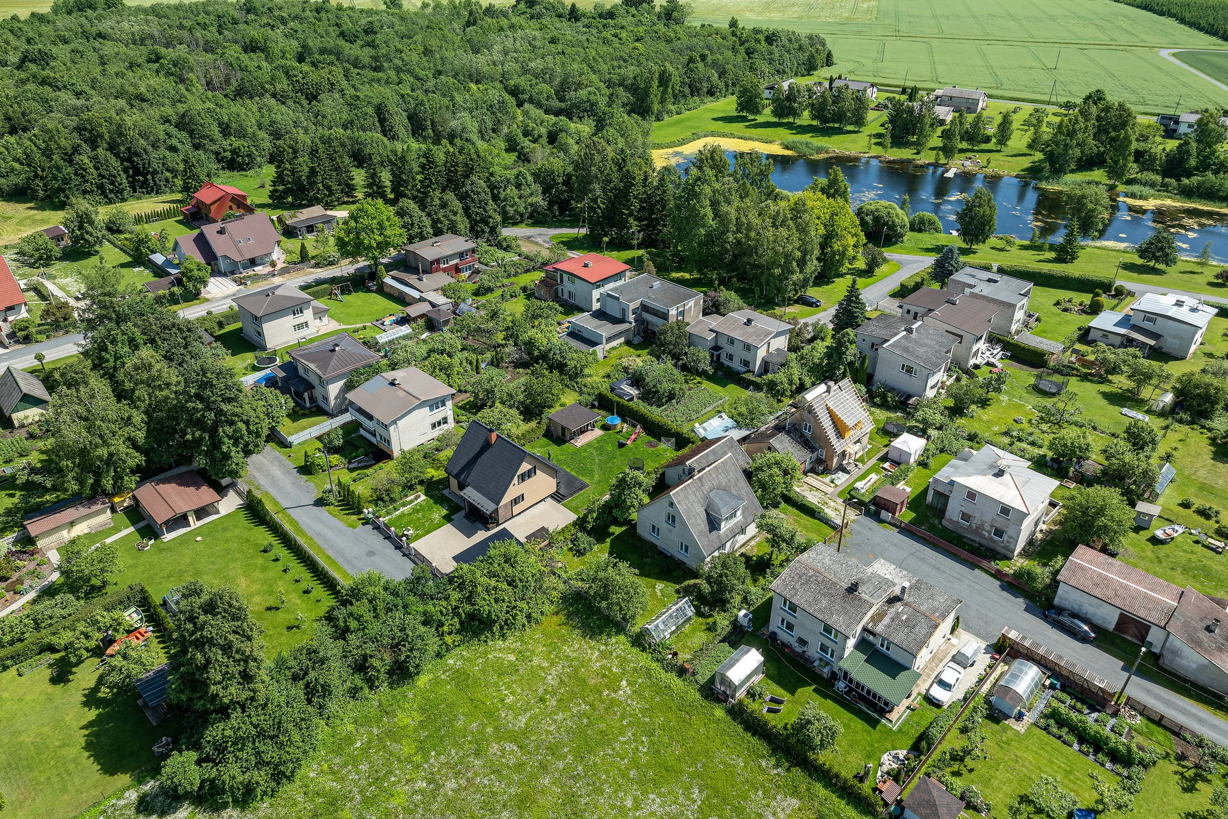 DJI_0441.jpg