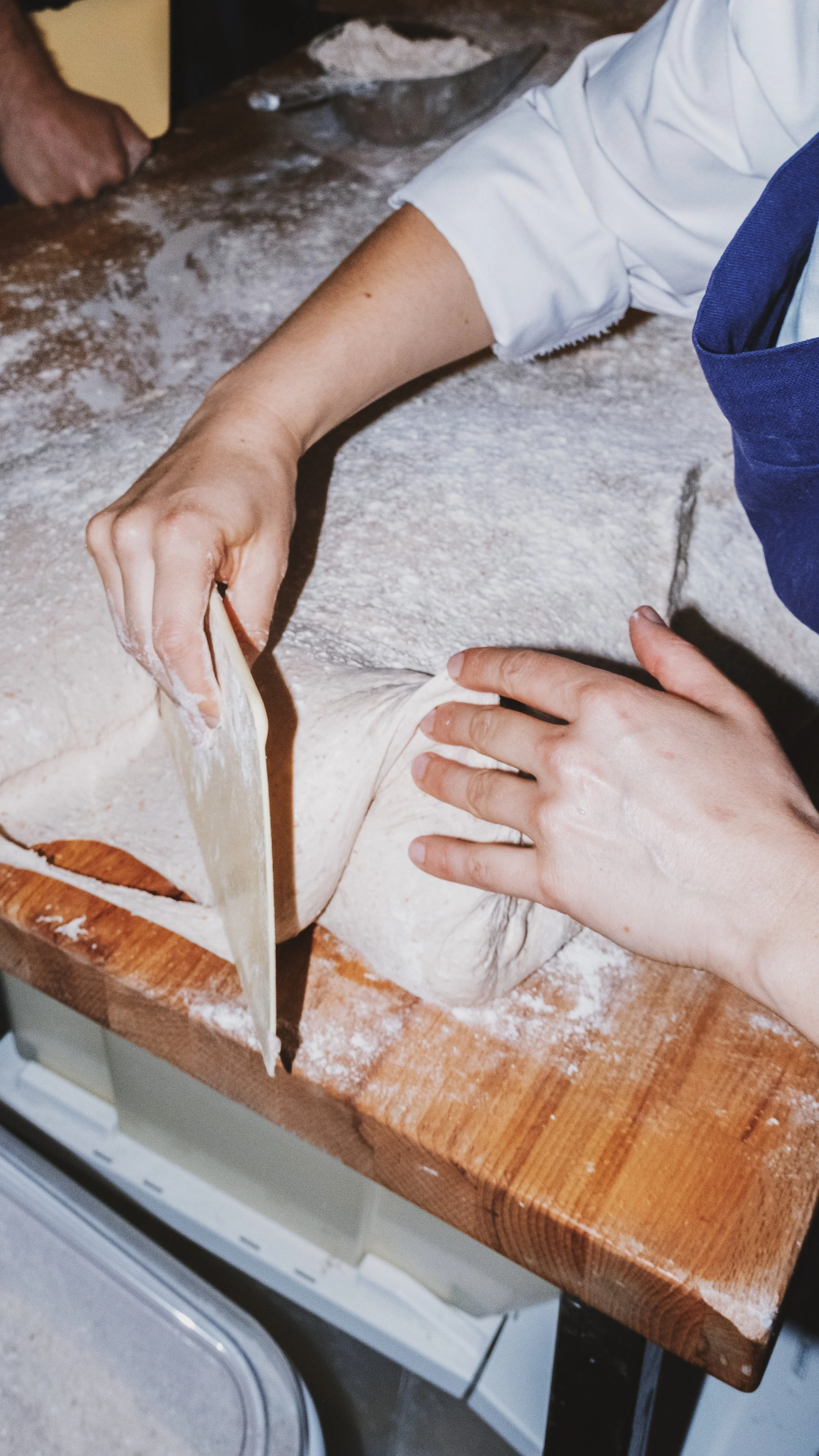 USED Boulangerie_Juin_Juillet_2025_emmapittiferrandi33.jpeg