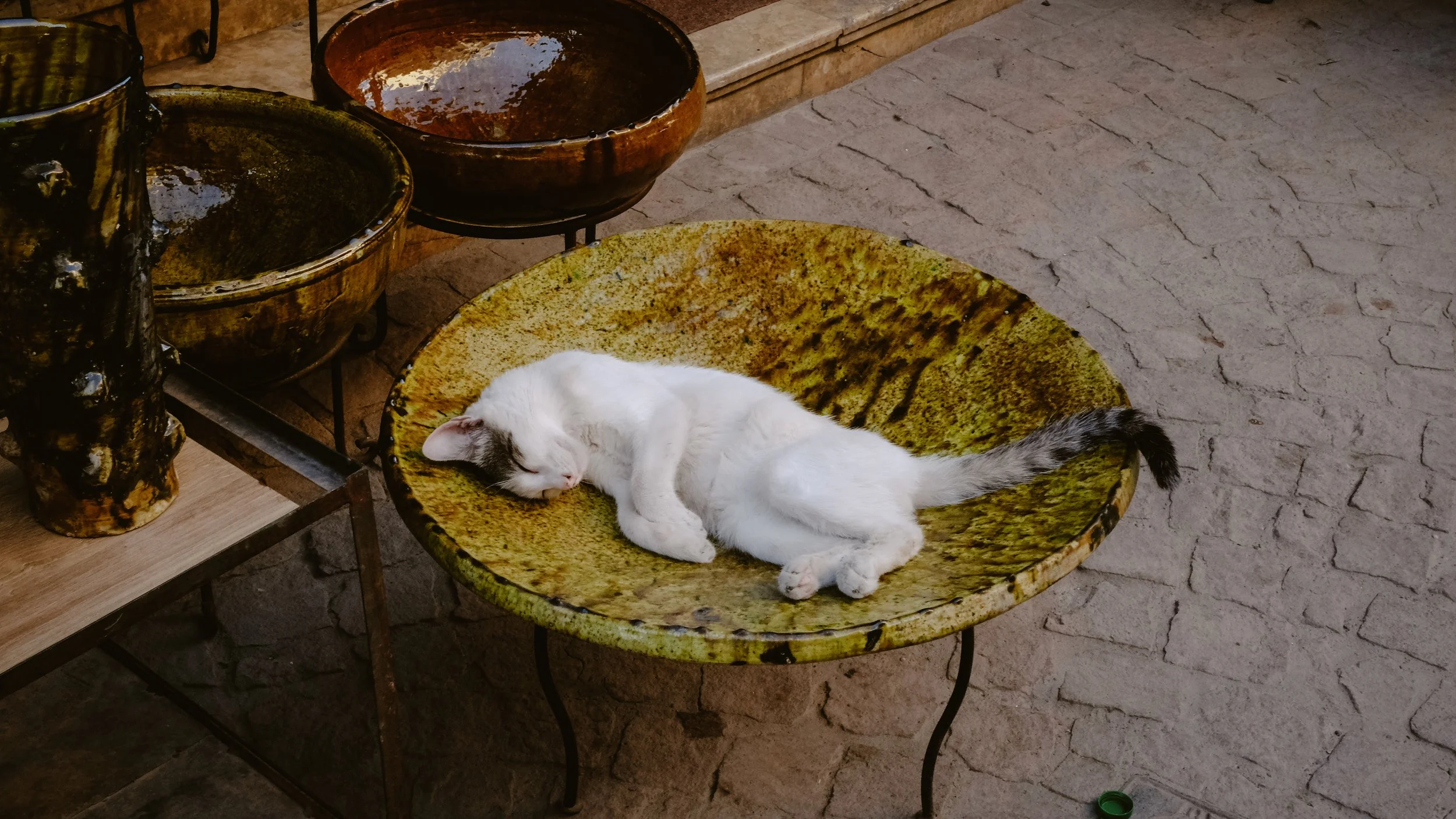 DSCF7148.jpg
