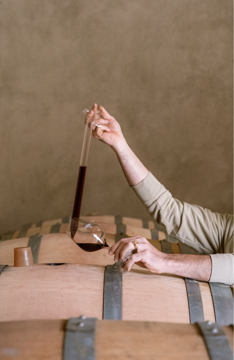 Photographe vignoble Alpes-Maritimes - Photographe Nice - Photographe mariage argentique