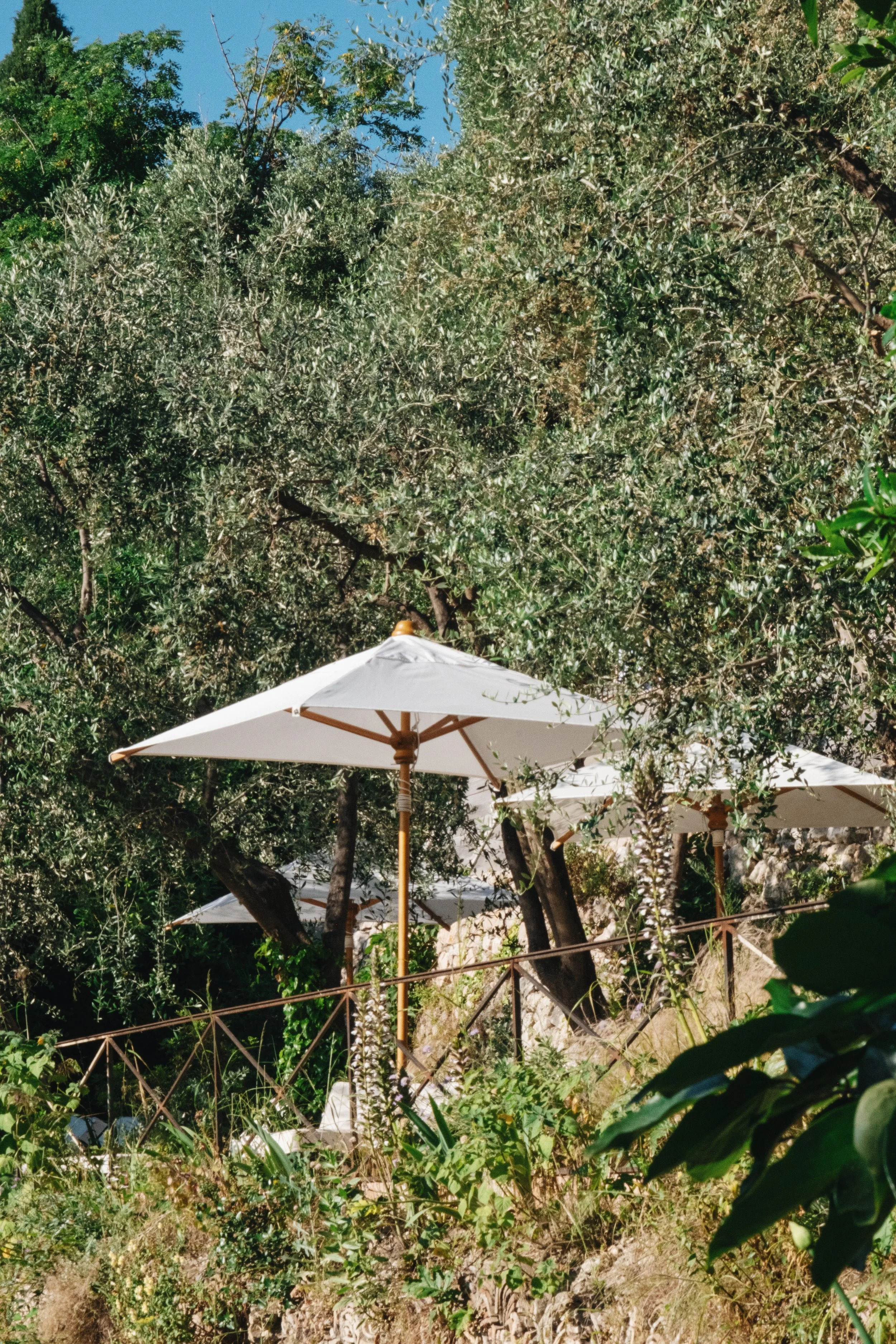 Photographie argentique - Photographie d'intérieur - Hôtels