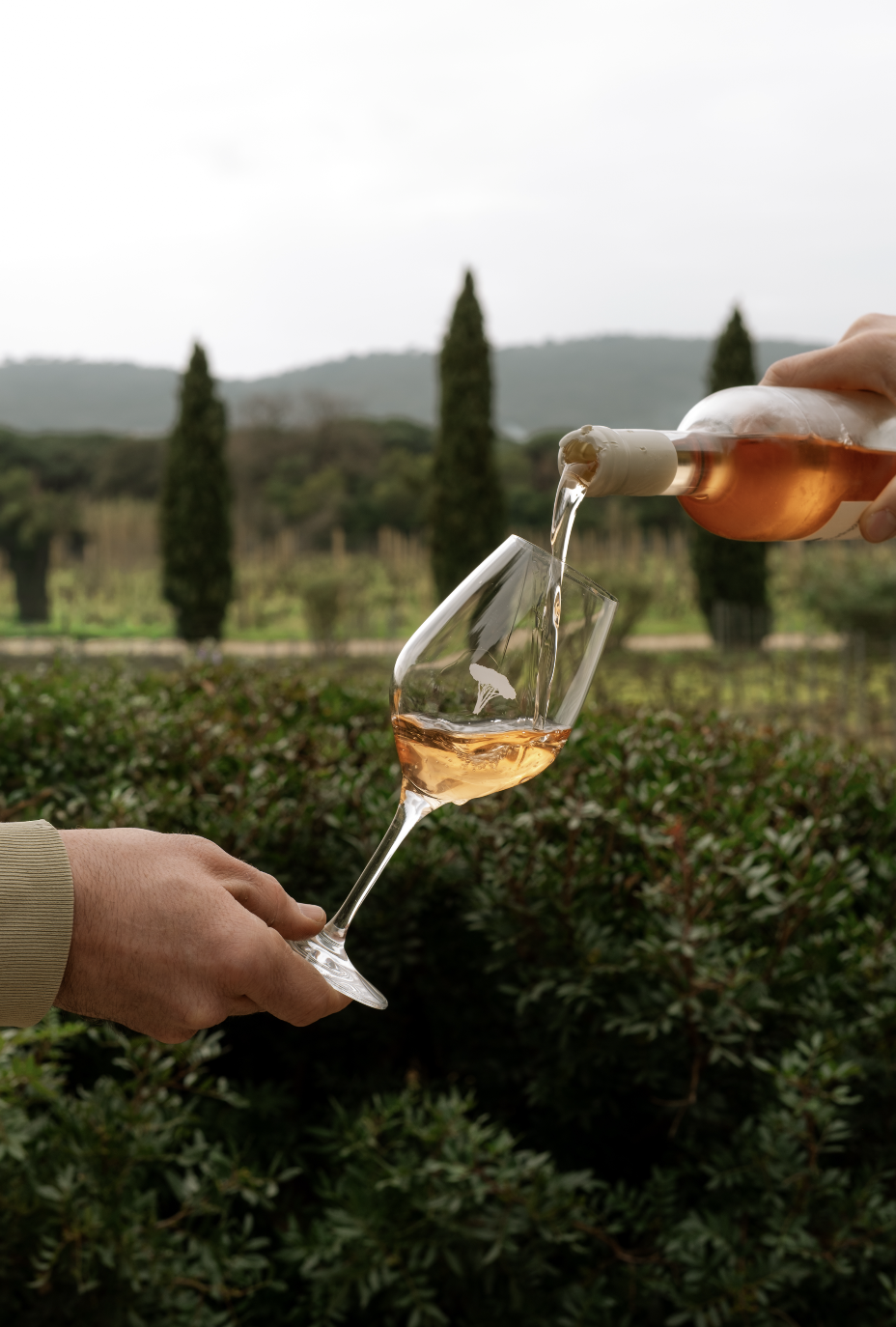 Photographe vignoble Alpes-Maritimes - Photographe Nice - Photographe mariage argentique