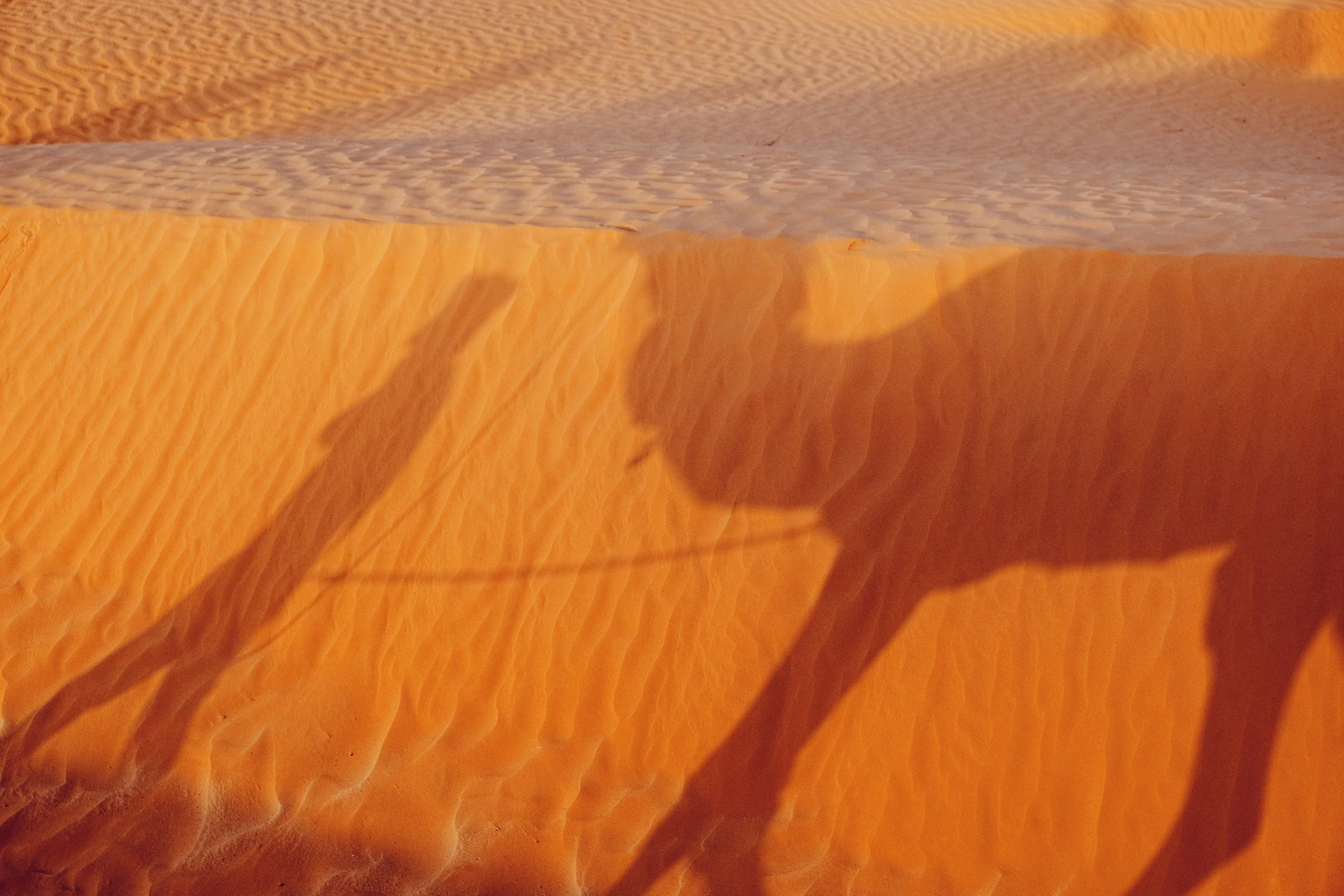 Desert Tunisie50.jpeg