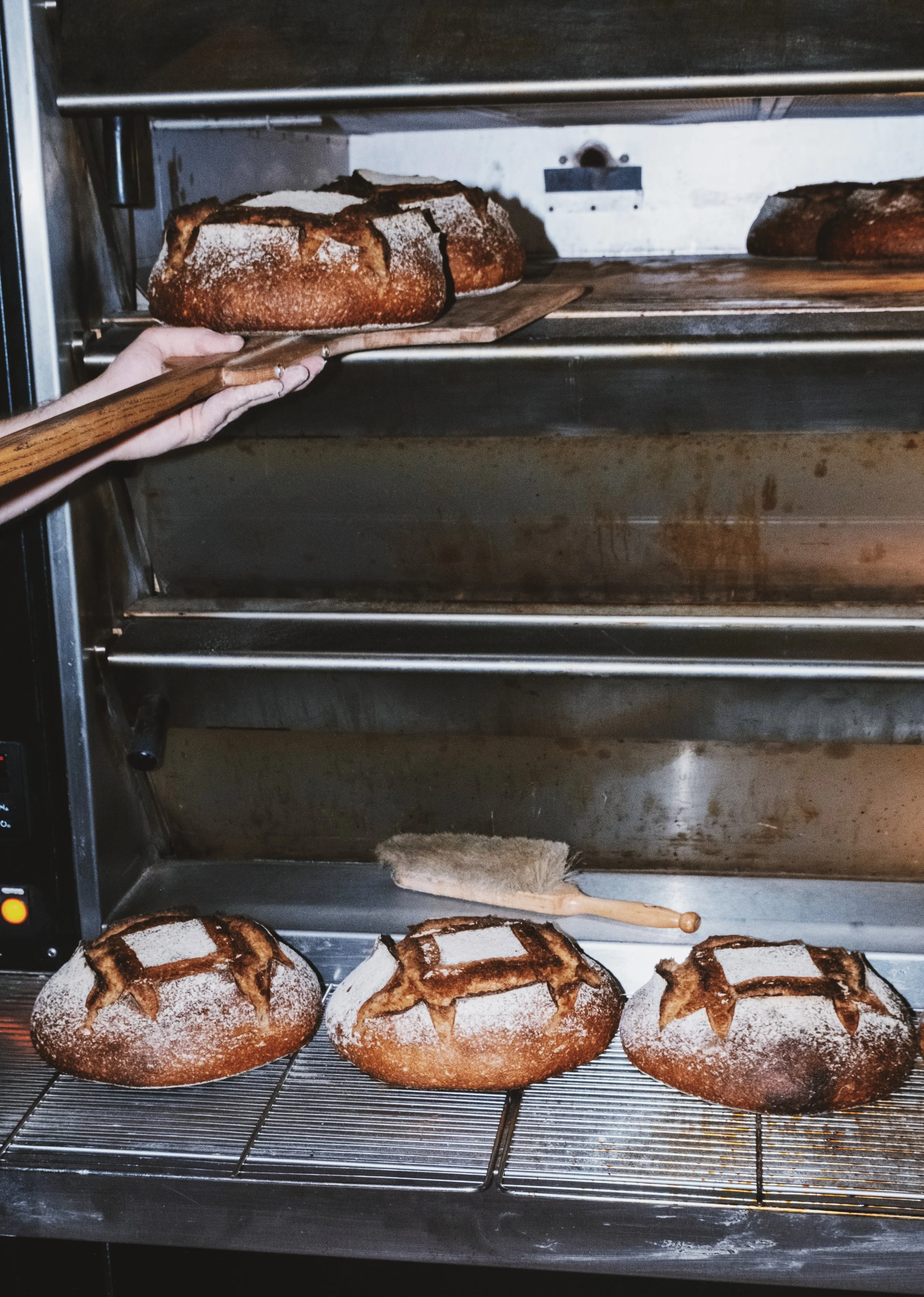 USED Boulangerie_Juin_Juillet_2025_emmapittiferrandi78.jpeg