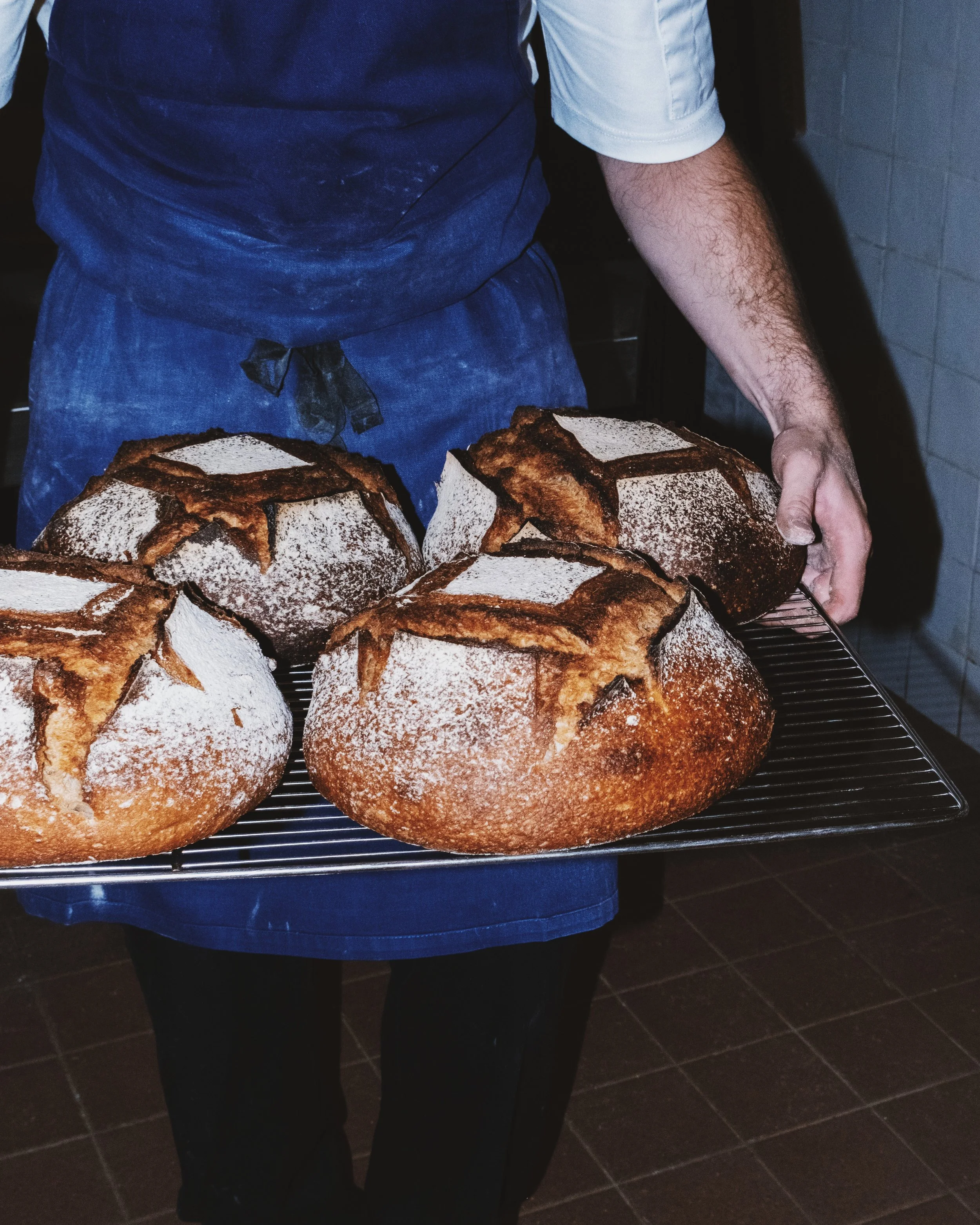 Boulangerie_Juin_Juillet_2025_emmapittiferrandi81.jpeg