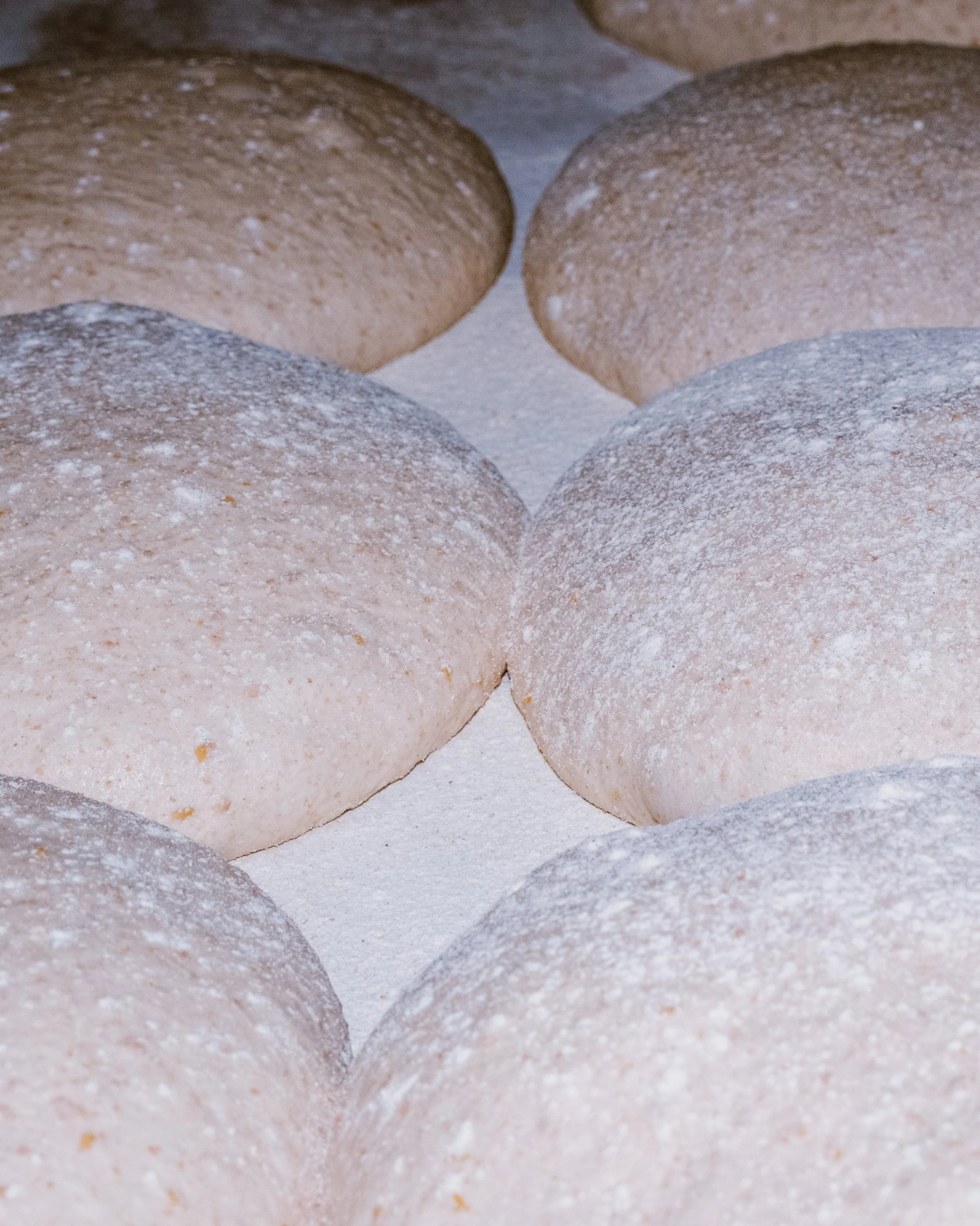 Boulangerie_Août_2025_emmapittiferrandi2.jpeg