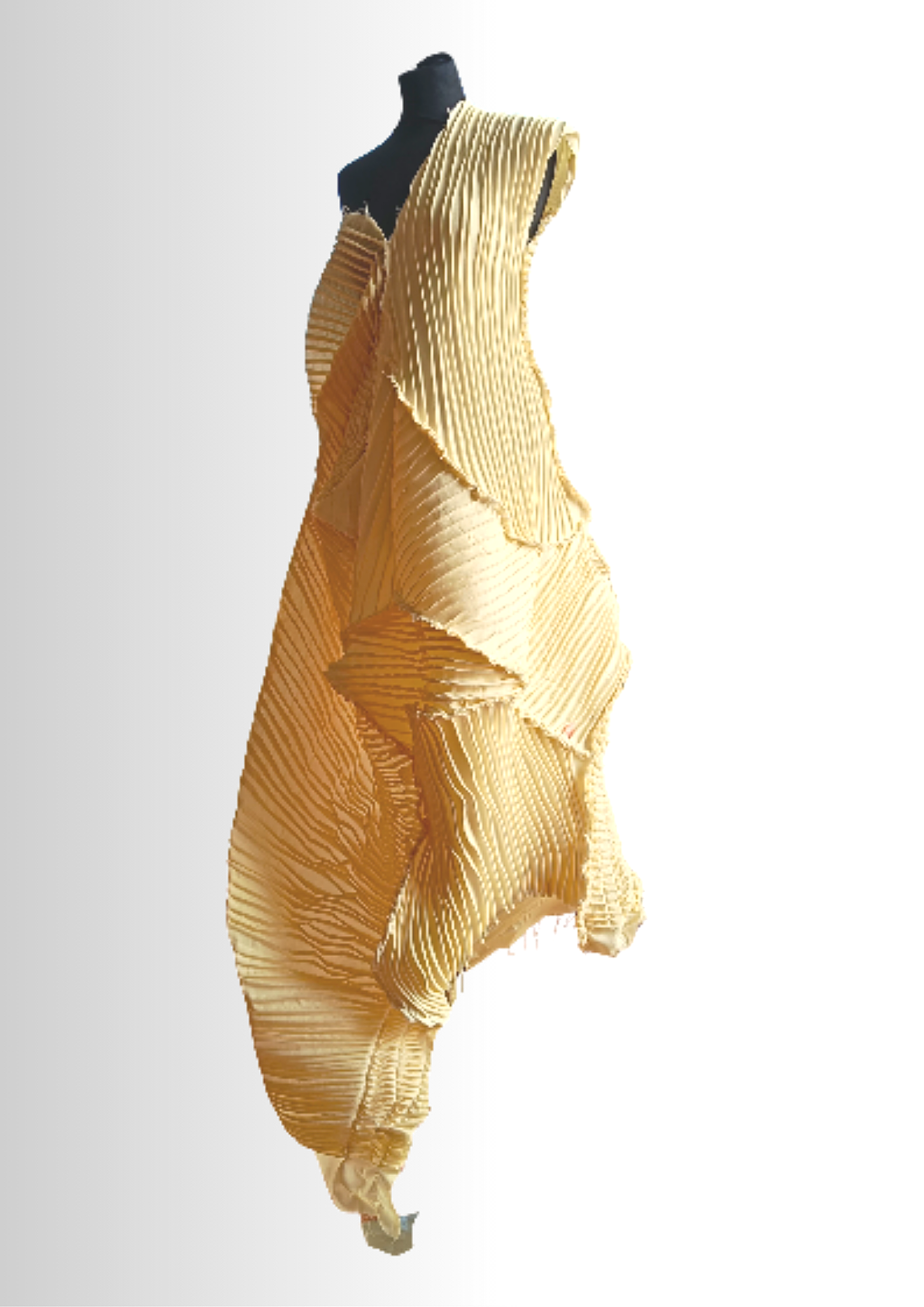 20.png