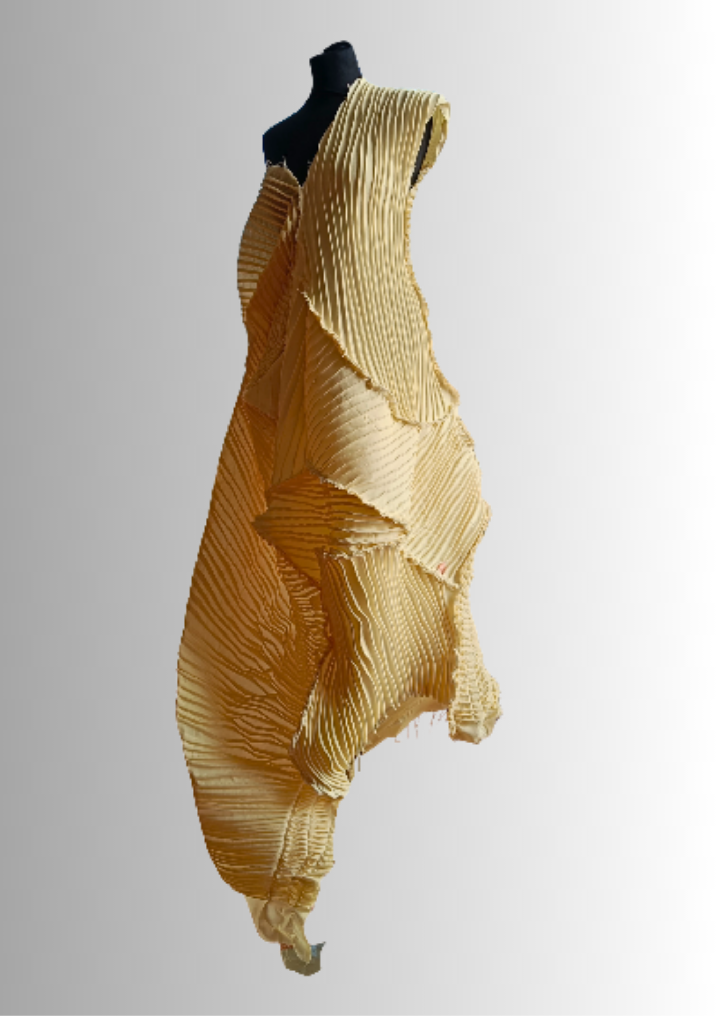 20.png