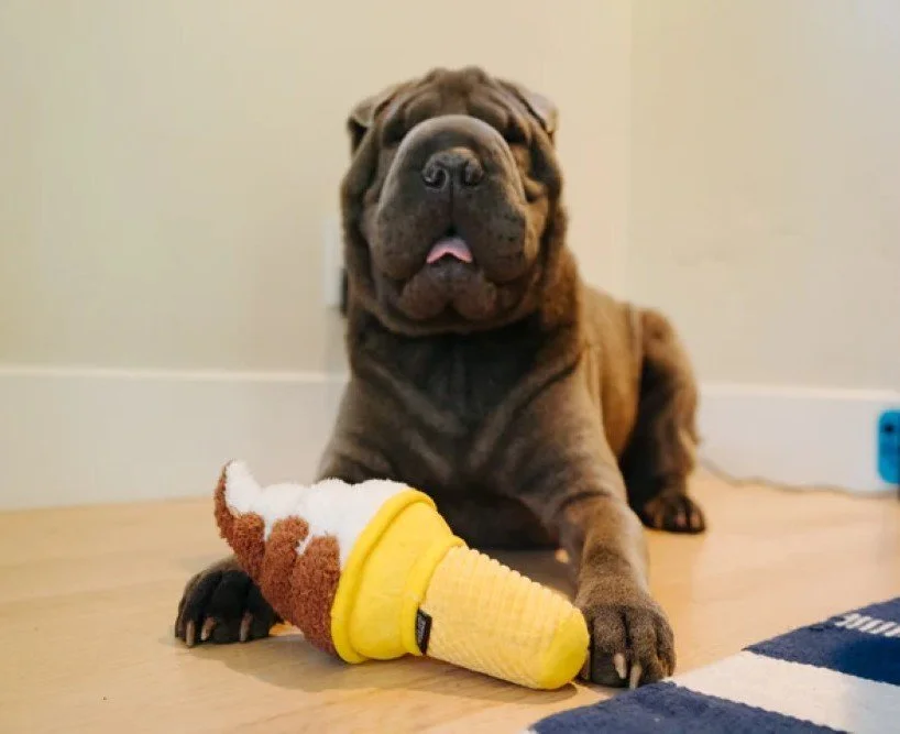 Snack Attack Swirls n Slobbers Soft Serve Dog Toy