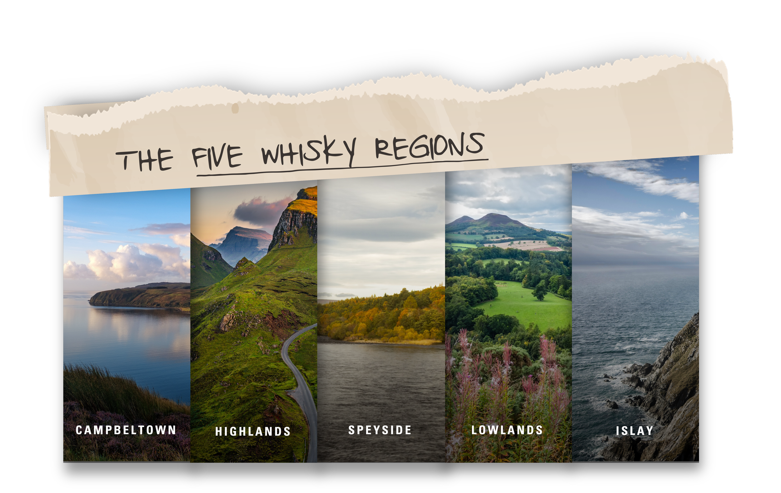 Scotch Whisky Explained: Regions - Rules - Types