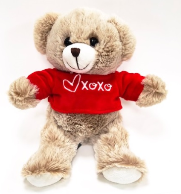 BEIGE BEAR WITH SHIRT 20CM.PNG