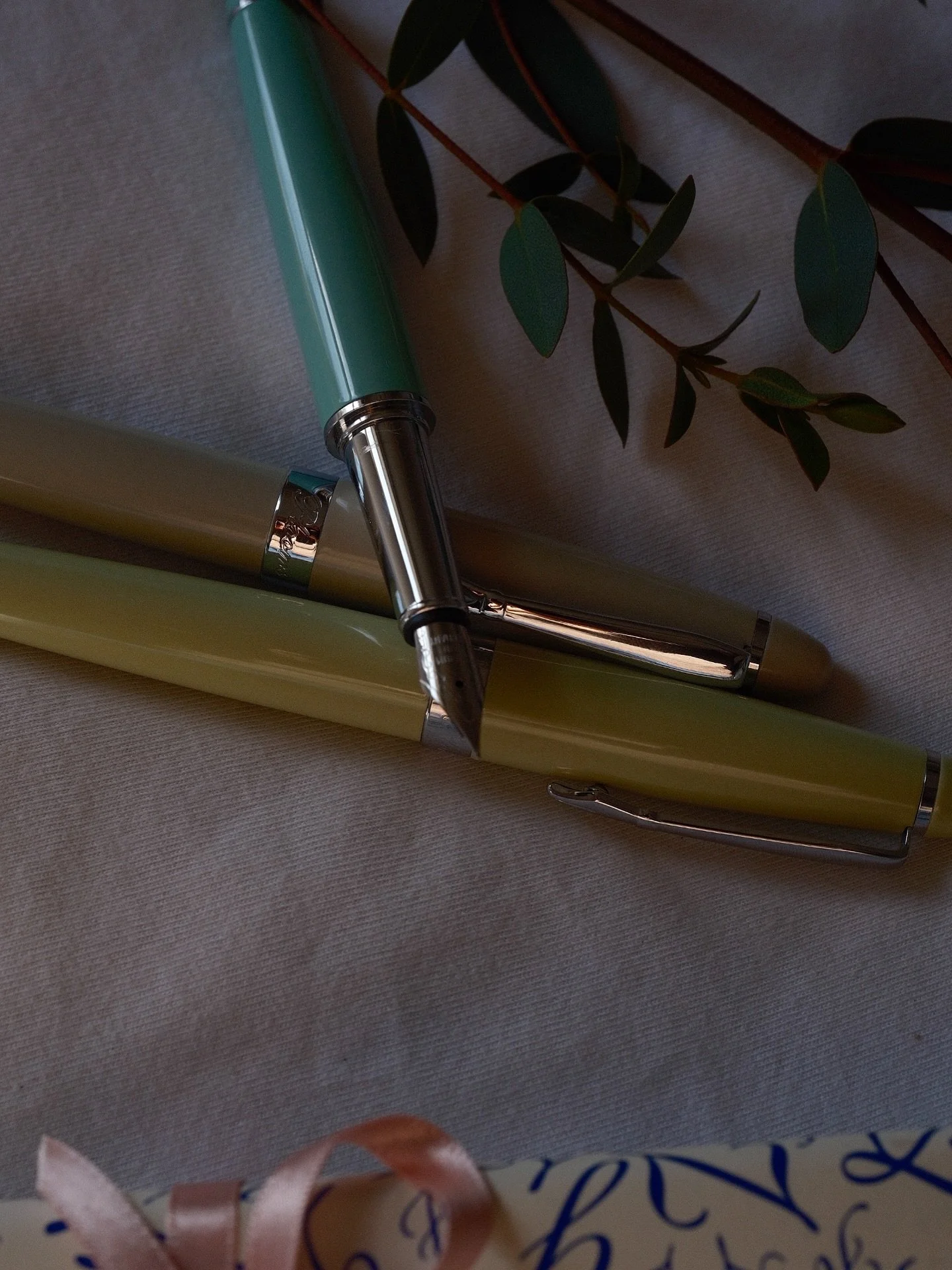 Last of the summer sunlight showing off the details of the Plooms nib design. #ploomspens #fountianpen #fountainpencollector #fountainpenaddict