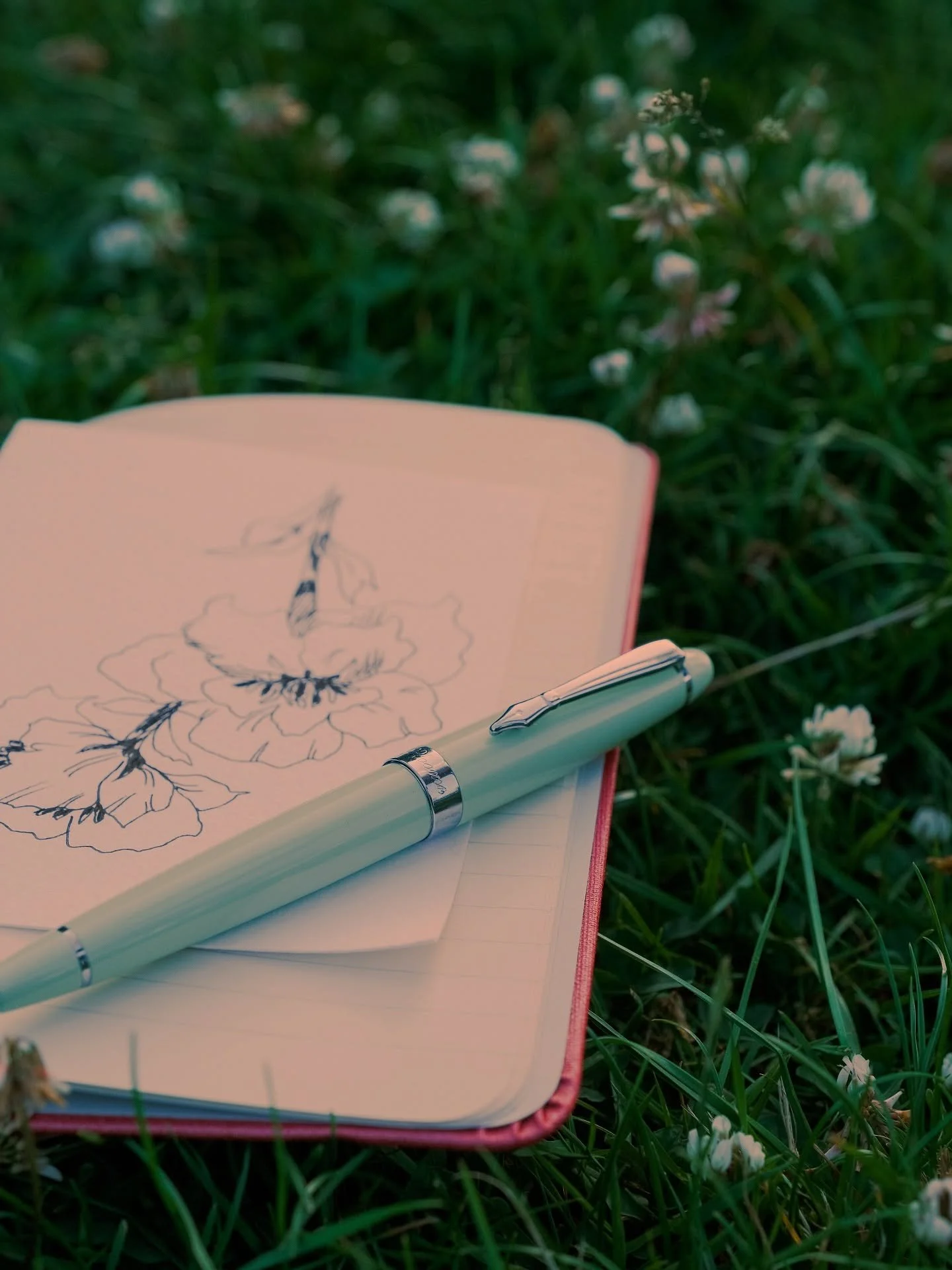 More than just writing - so comforting to hold, Plooms Pens are perfect for drawings. #ploomspens #fountainpen #inkdrawings