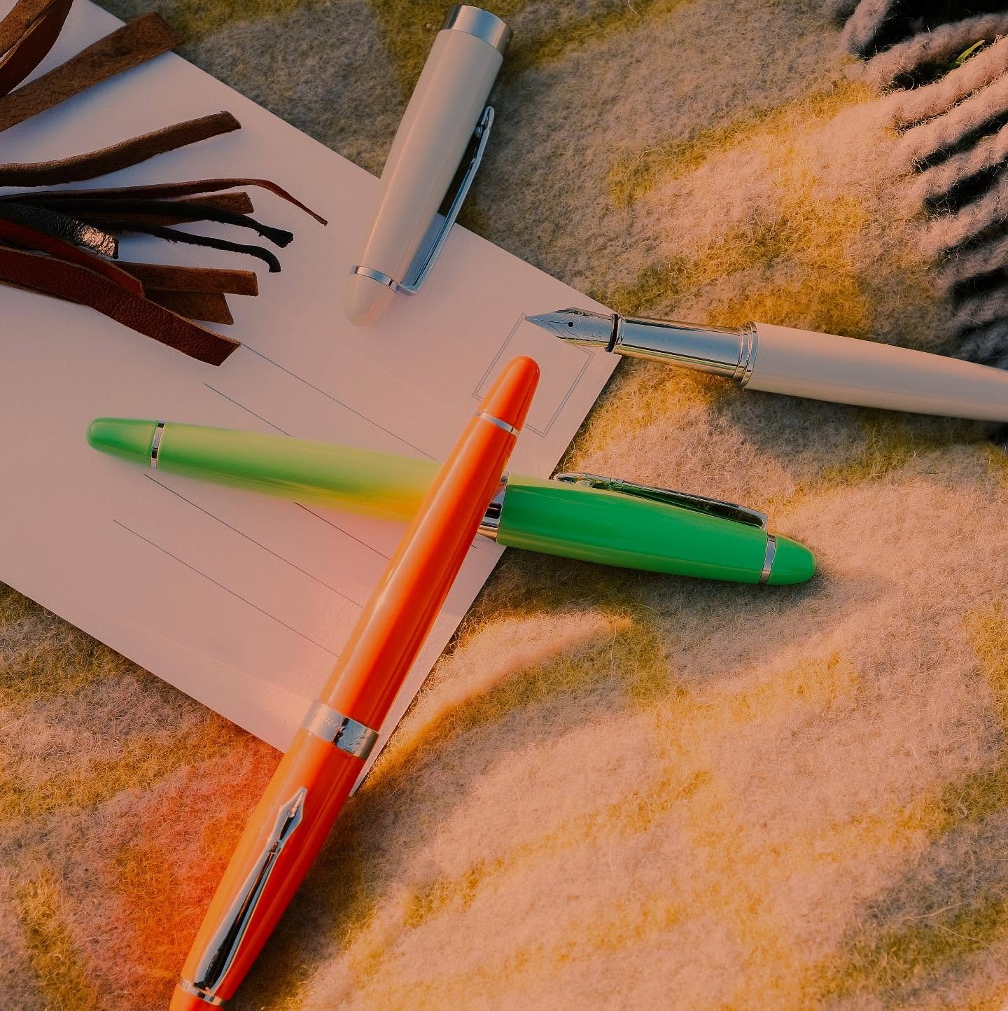 The hardest part is picking your favourite colour. #plooms #fountainpen #postcards #summervibes☀️