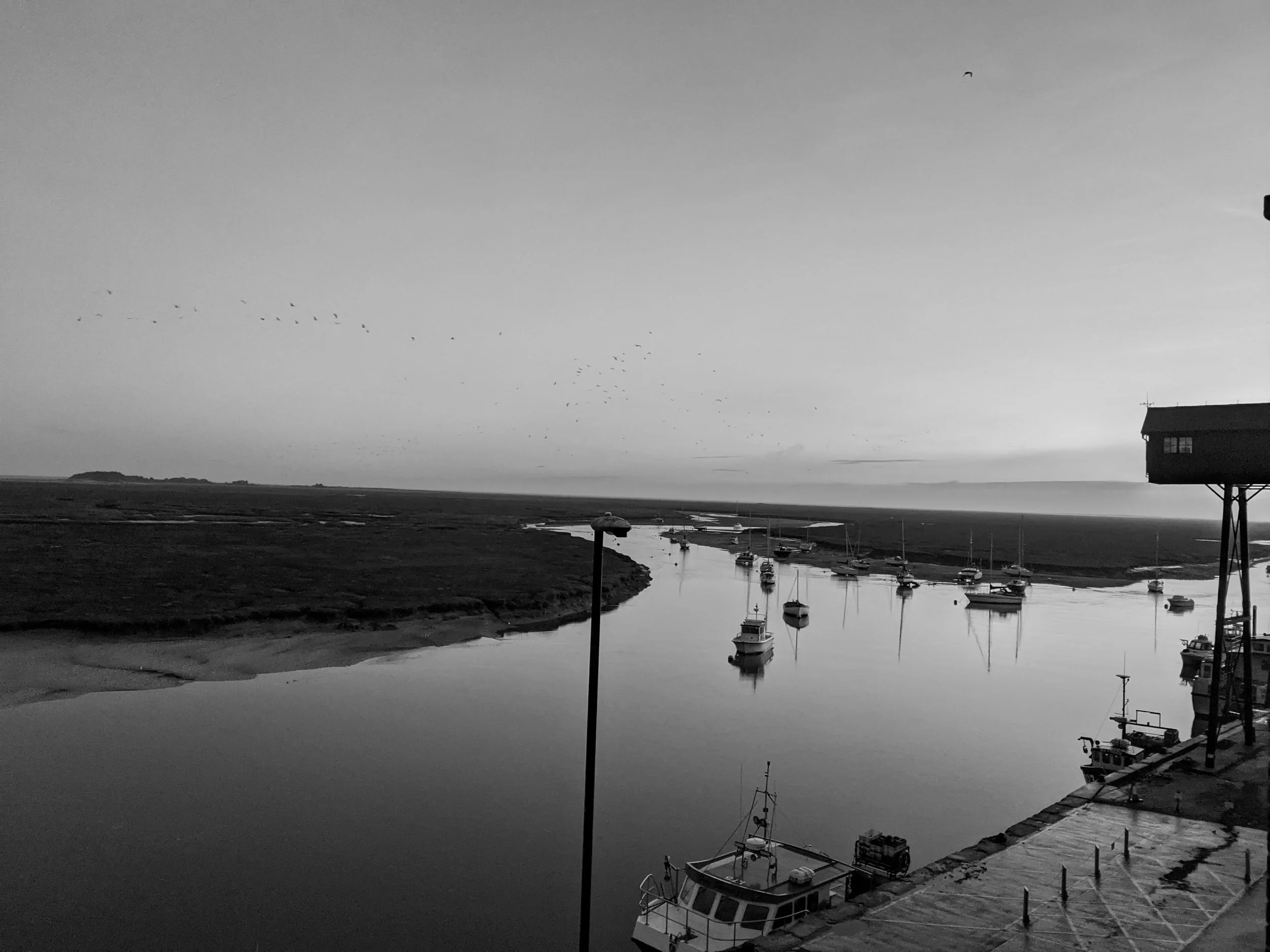 Black and white photograph of a harbor with several boats docked along the water, a house on stilts on the right, and a flock of birds flying in the sky.
