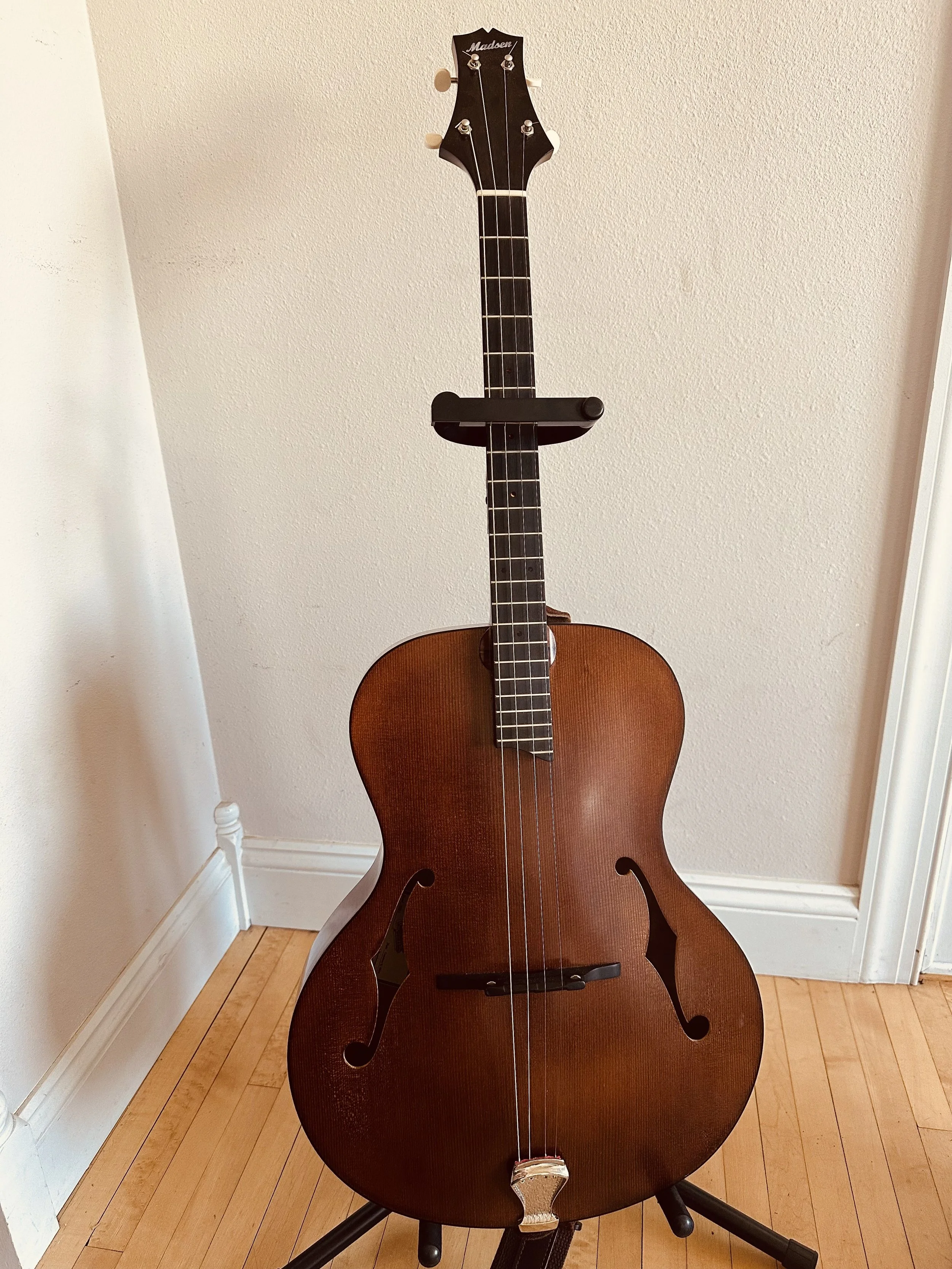 Discovering the Tenor Guitar: A Love Story on Four Strings