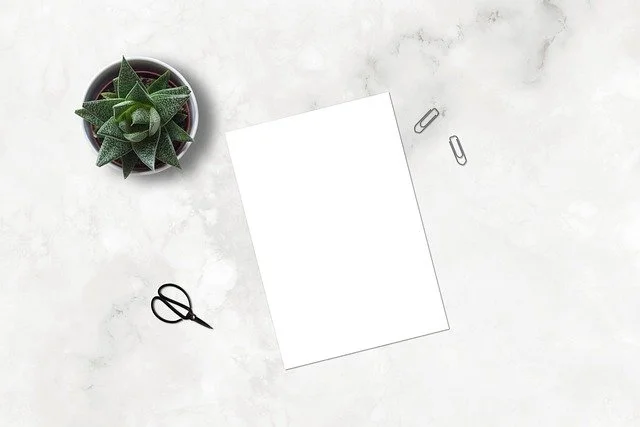Flat lay of a white marble surface with a small potted succulent plant, a blank white sheet of paper, a pair of black scissors, two paper clips, and a gray paper clip.