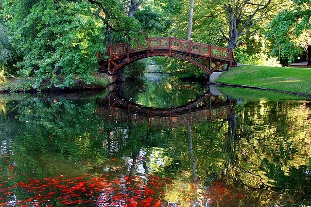 A small wooden bridge over a calm pond with colorful fish, surrounded by lush green trees and grass.