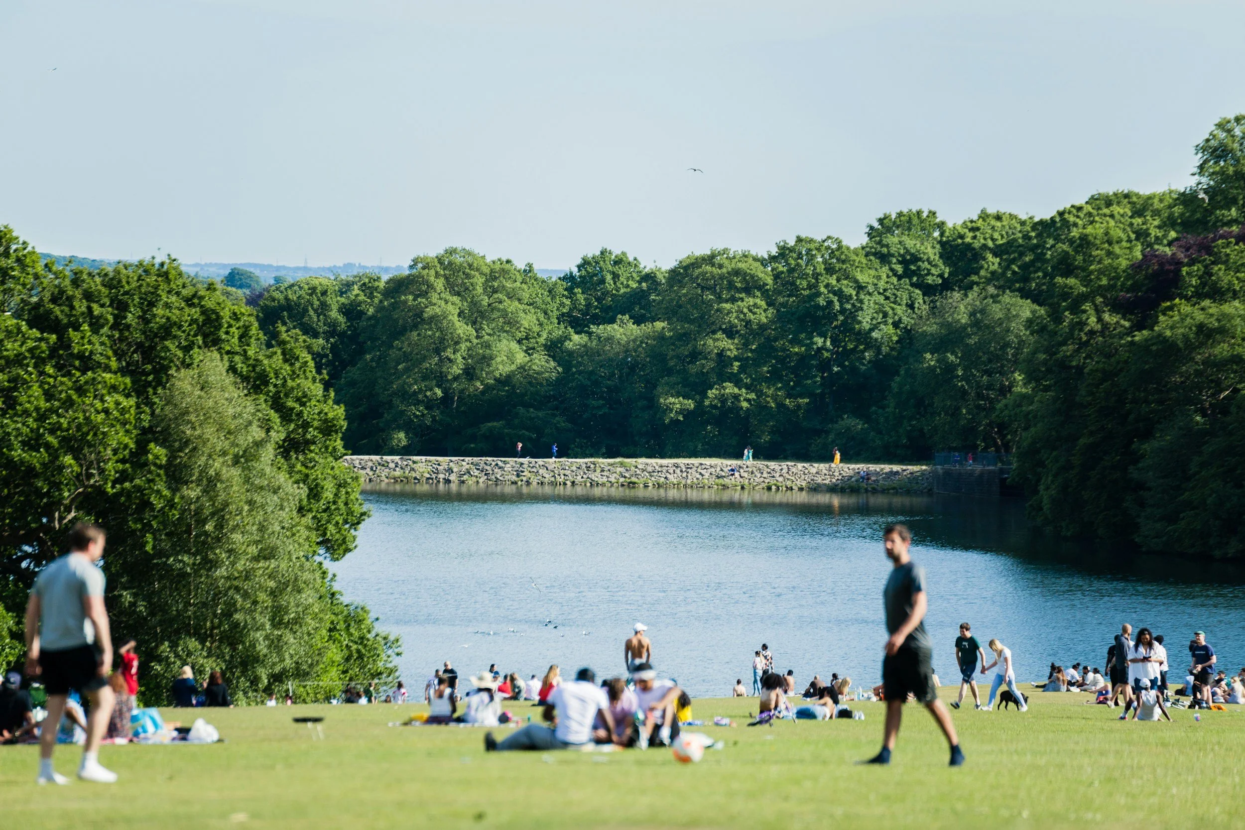 People gather by the water under trees in a park on a sunny day. Some are walking, sitting, or relaxing on the grass, with a forested area and a river in the background.