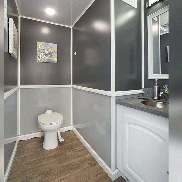 2 stall luxury restroom interior view