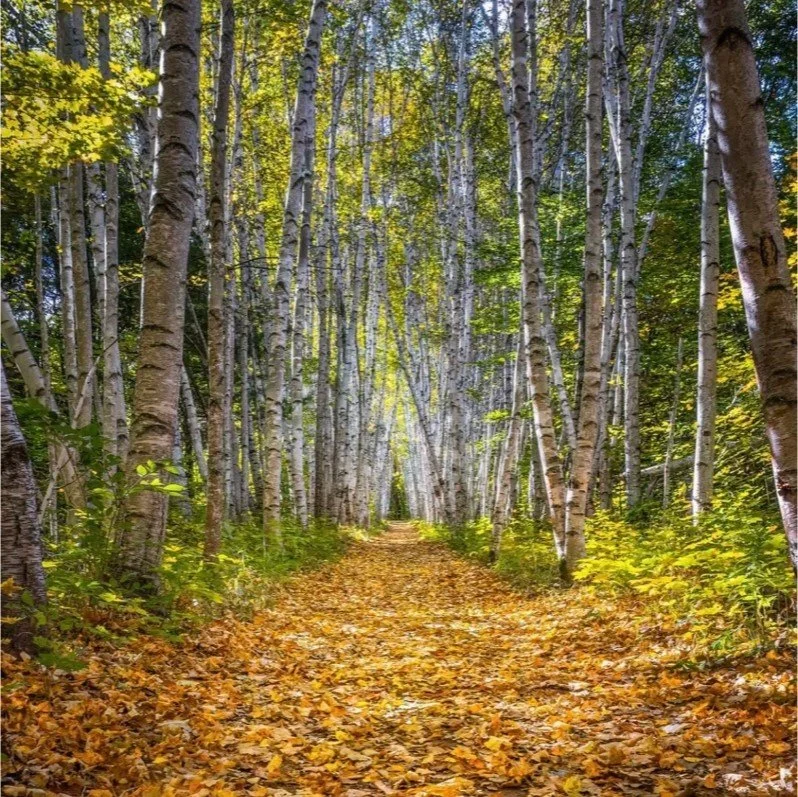 How Birchstone Coffee Co. Was Born