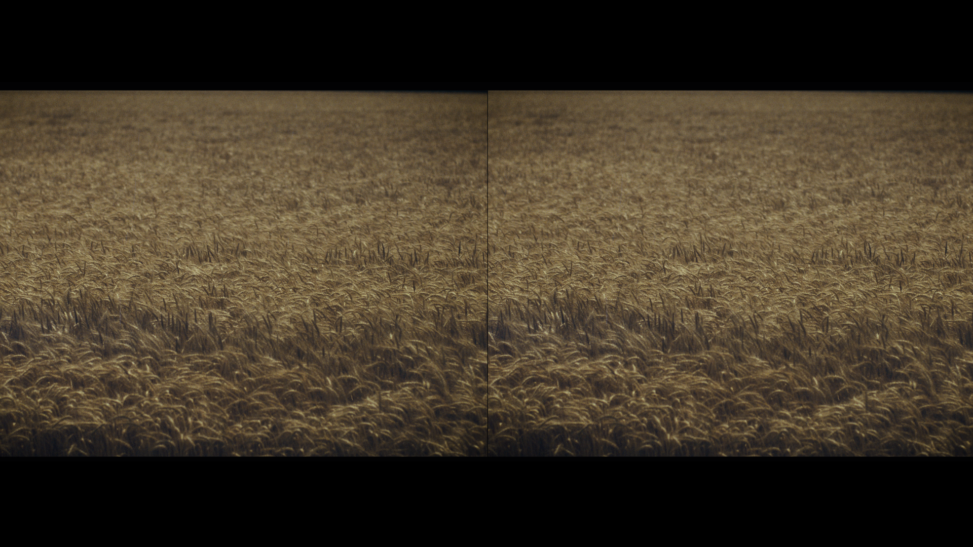 Look Academy final presentation.023.png