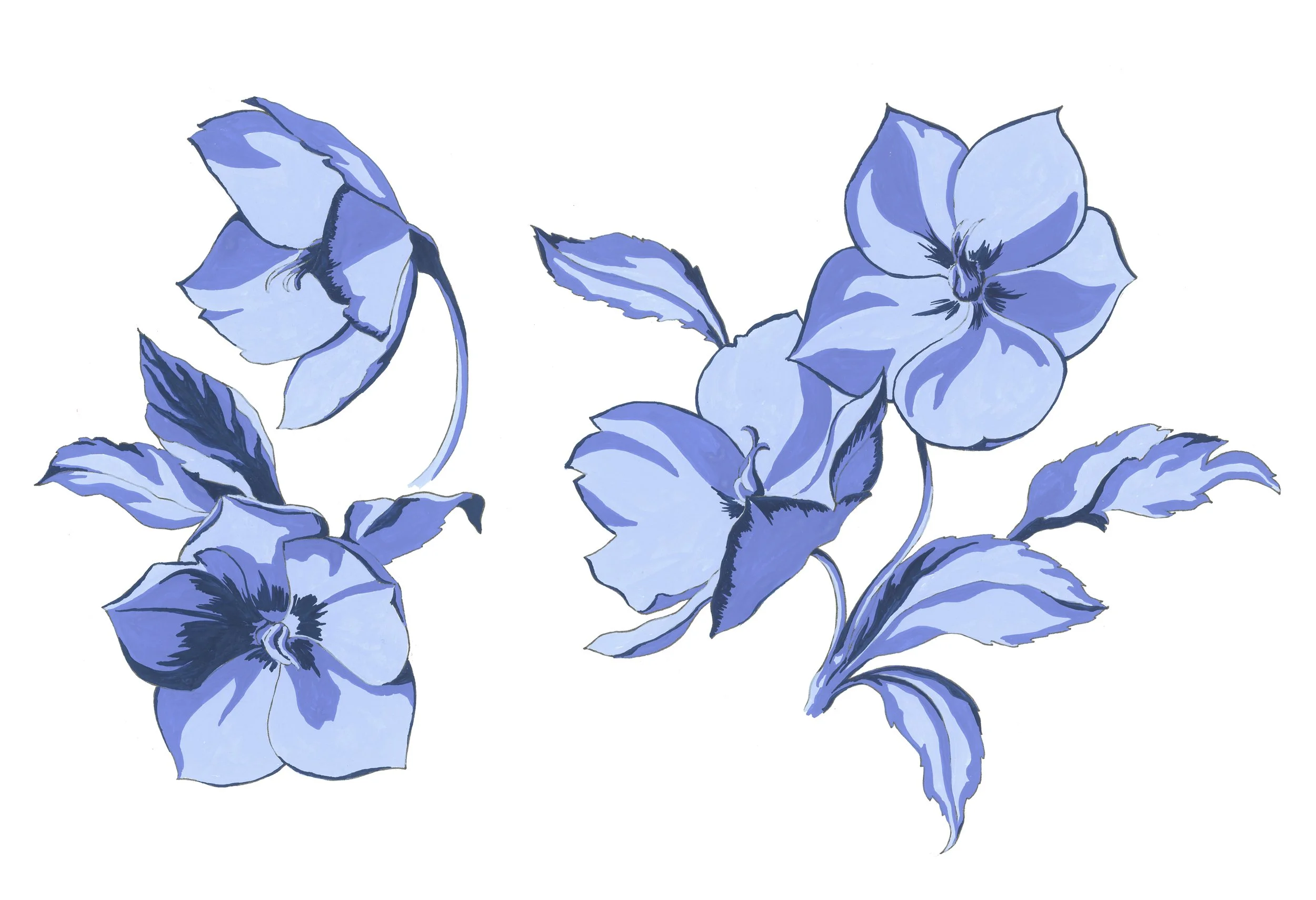 Blue botanical illustration of flowers and leaves on a white background