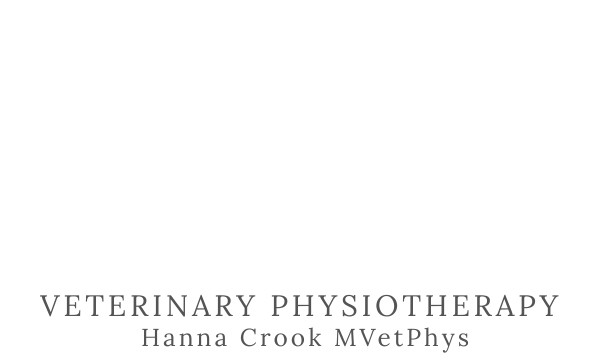 HC Veterinary Physiotherapy