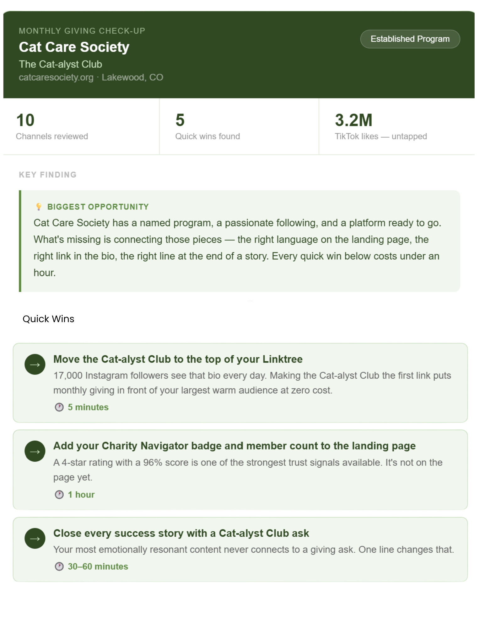 A screenshot of a sample report from the Cat Care Society, displaying a monthly giving check-up with sections on reviewing channels, finding key opportunities, and making success stories, all in green and white design.