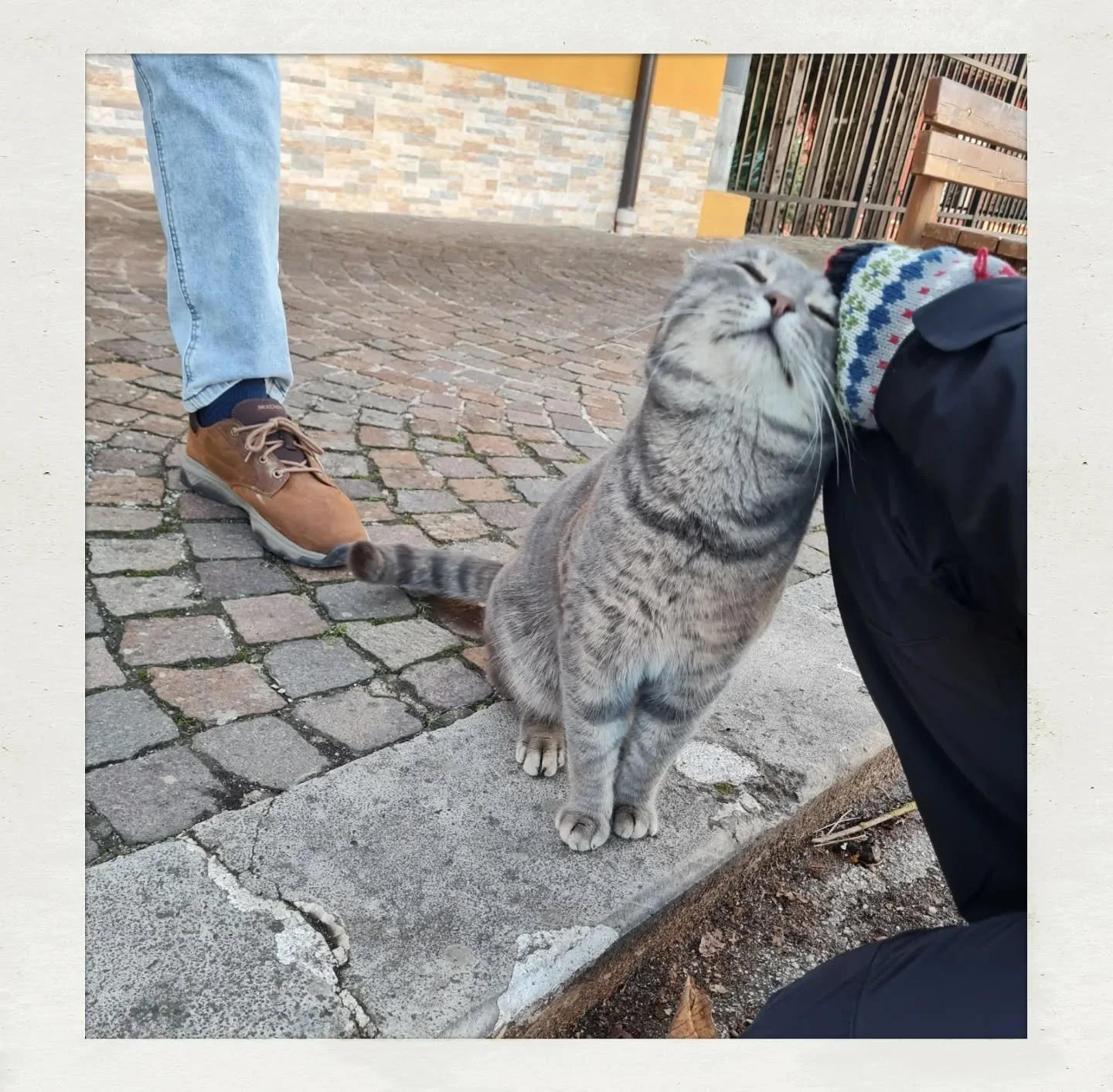 Italy Part 2, the move, and new home

Coucou, how are you all doing? Are you coping?  Yeah, me too. Let's just say that I can feel how my Polish and Eastern European ancestors are spinning in their graves.

IG was fun a long, long time ago. I used it