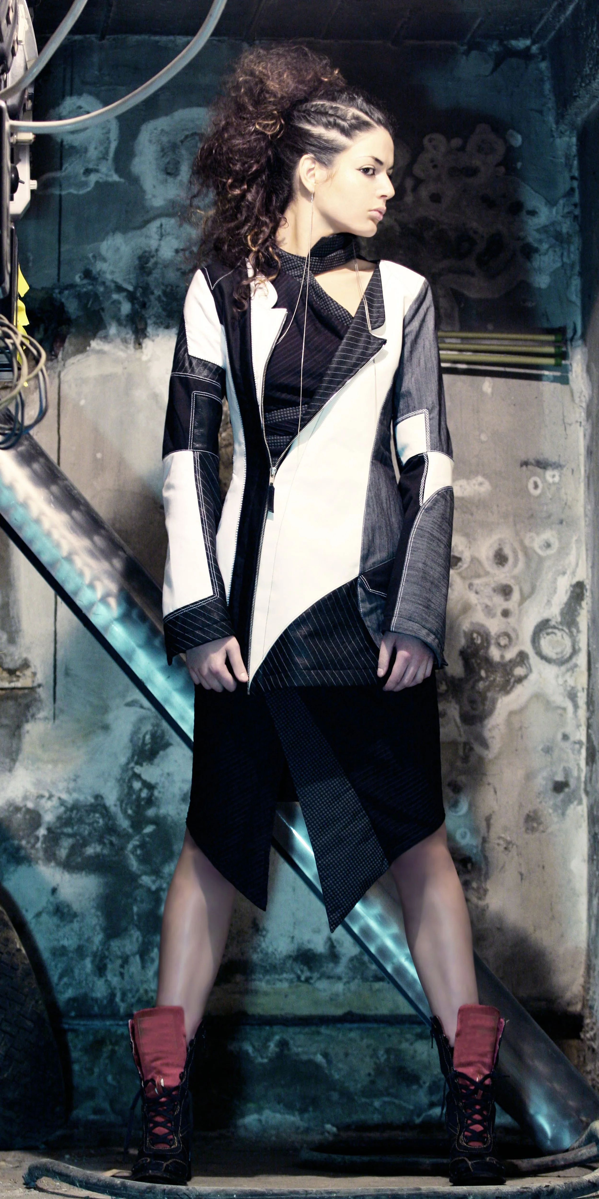 silh 2b-cat copy.jpg