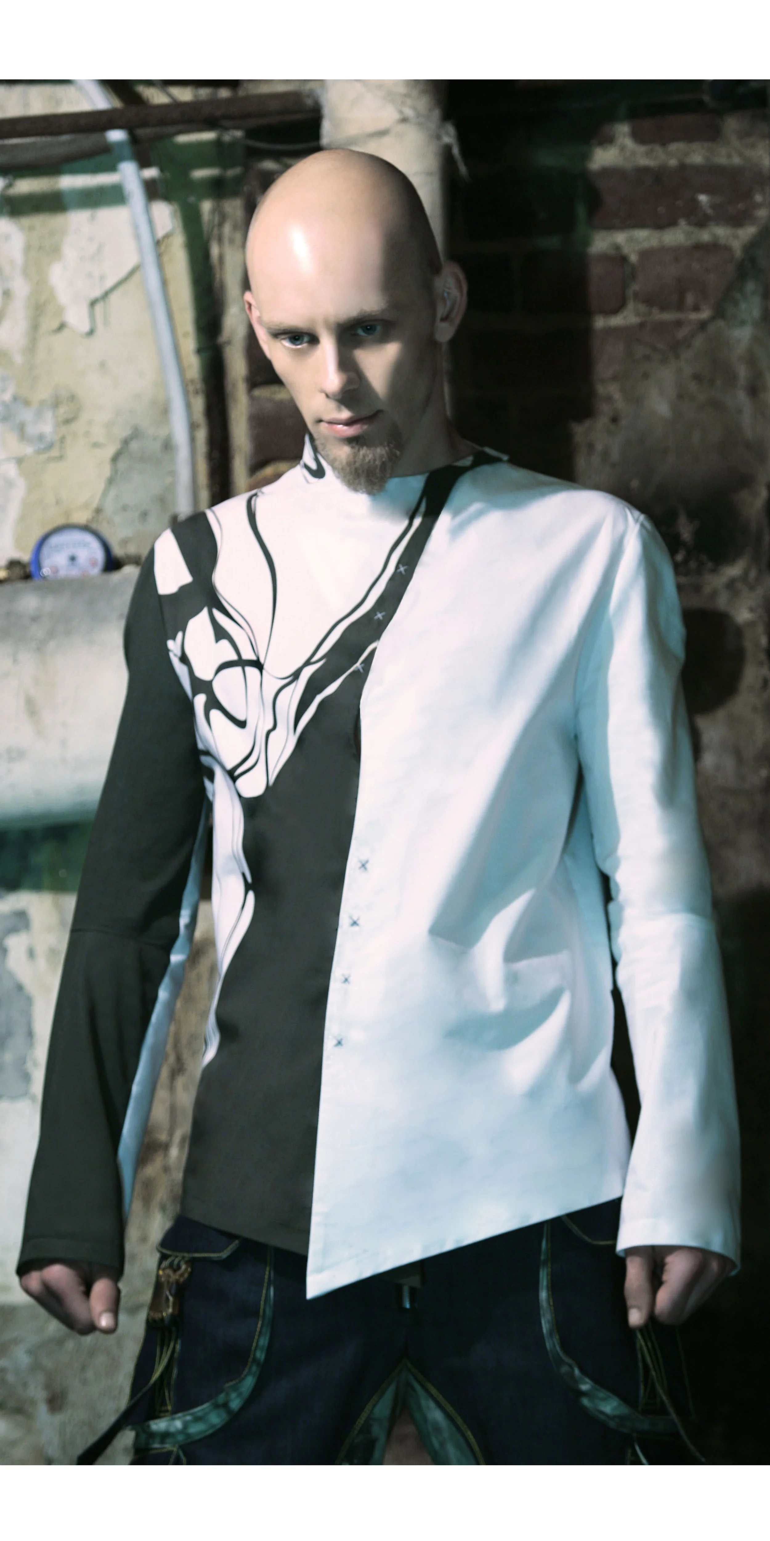 silh 7a cat copy.jpg