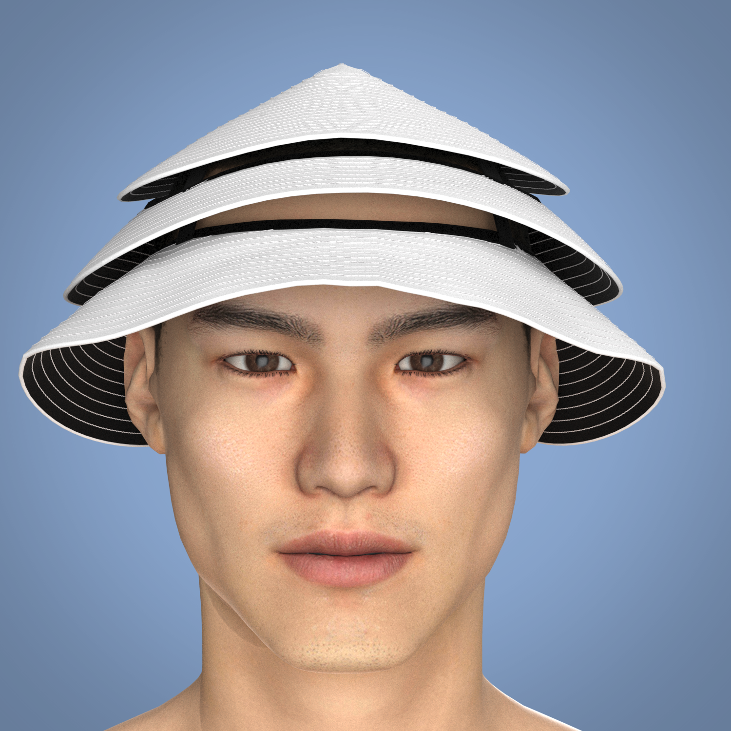 hat test render (2).png