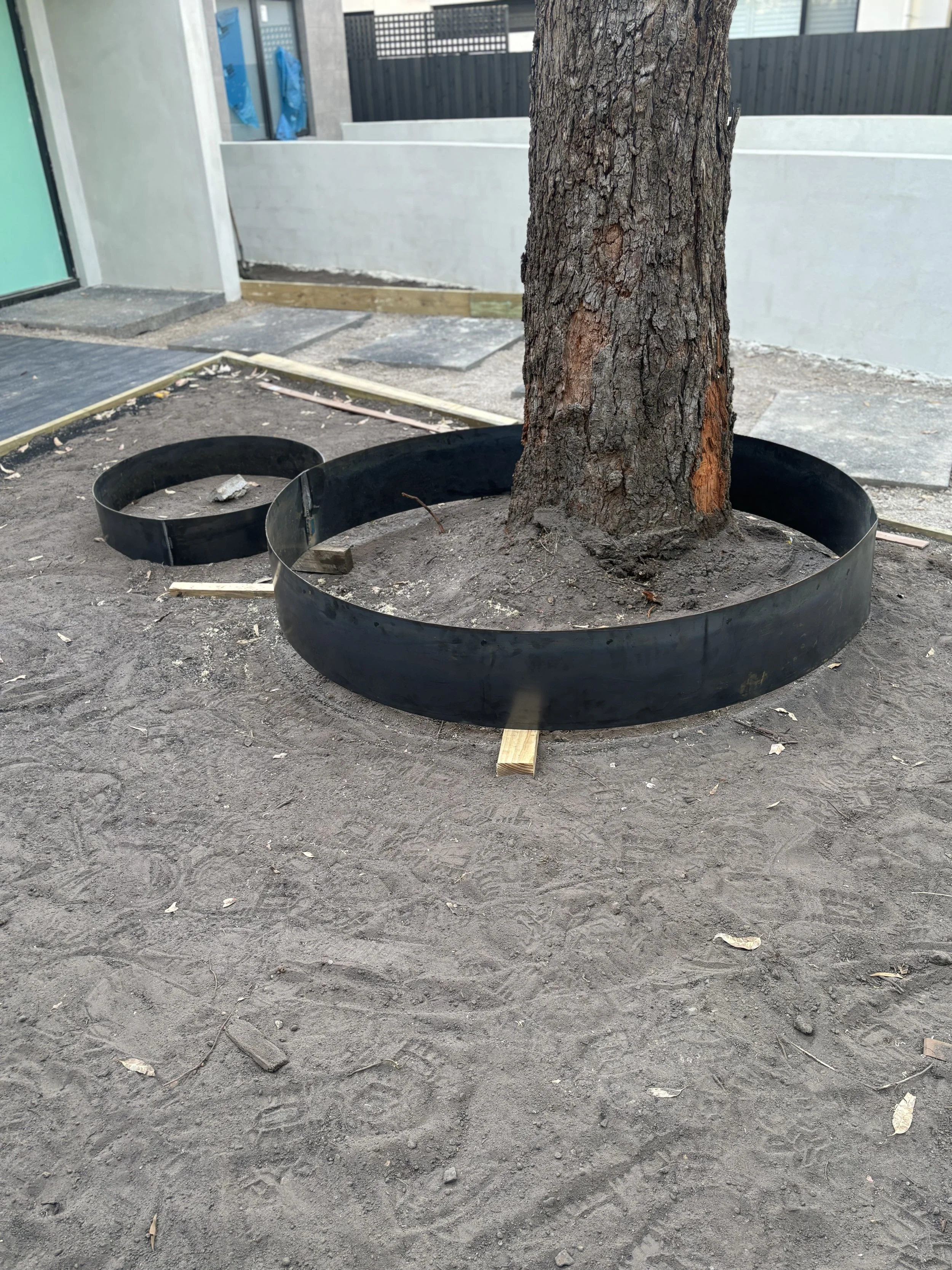 A tree planted in a circular black protective border on bare ground